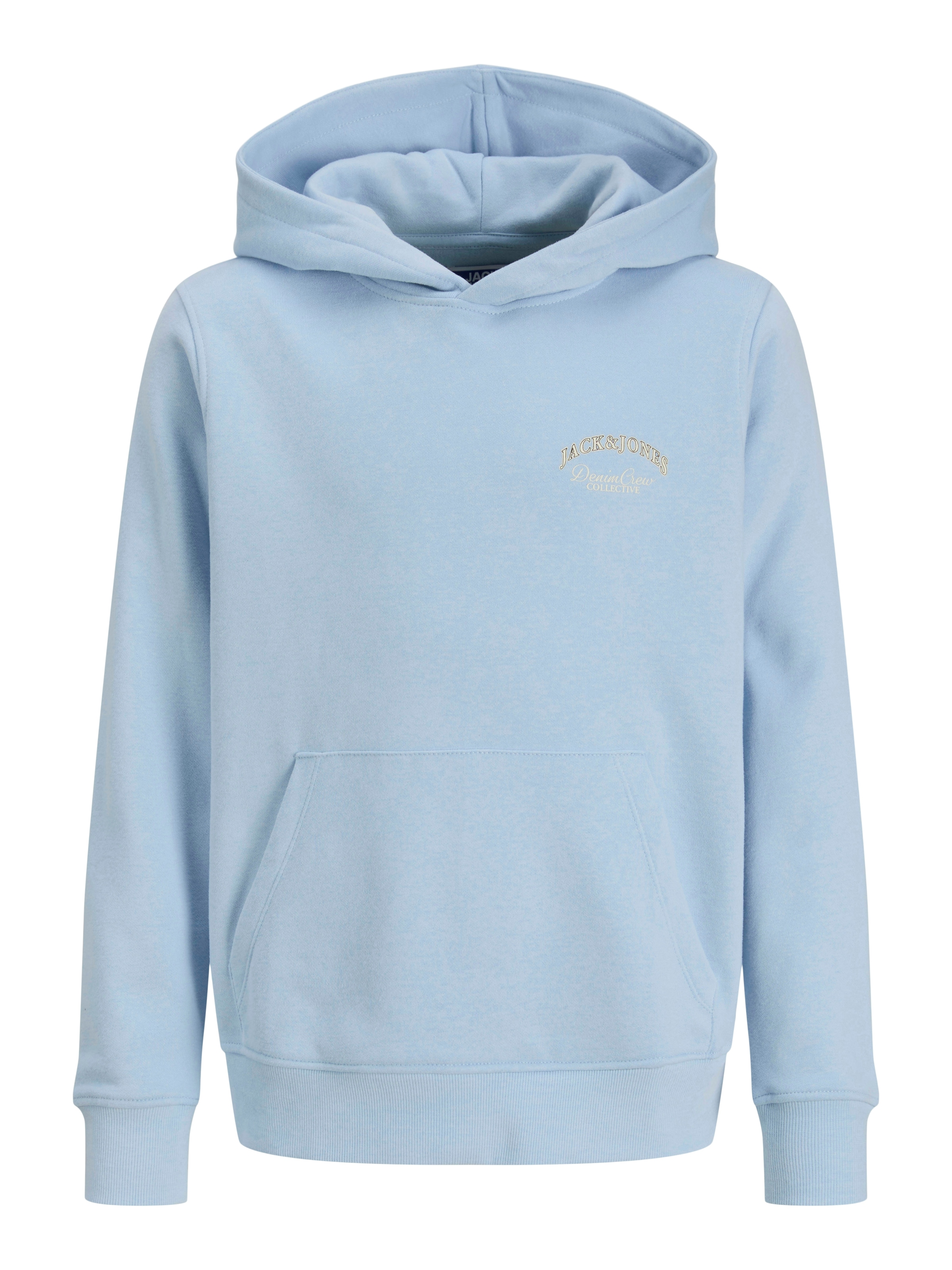 Jack & Jones Junior Kapuzensweatshirt »JJEBRANDES BACKP RELAXED SWEAT H SN JNR«