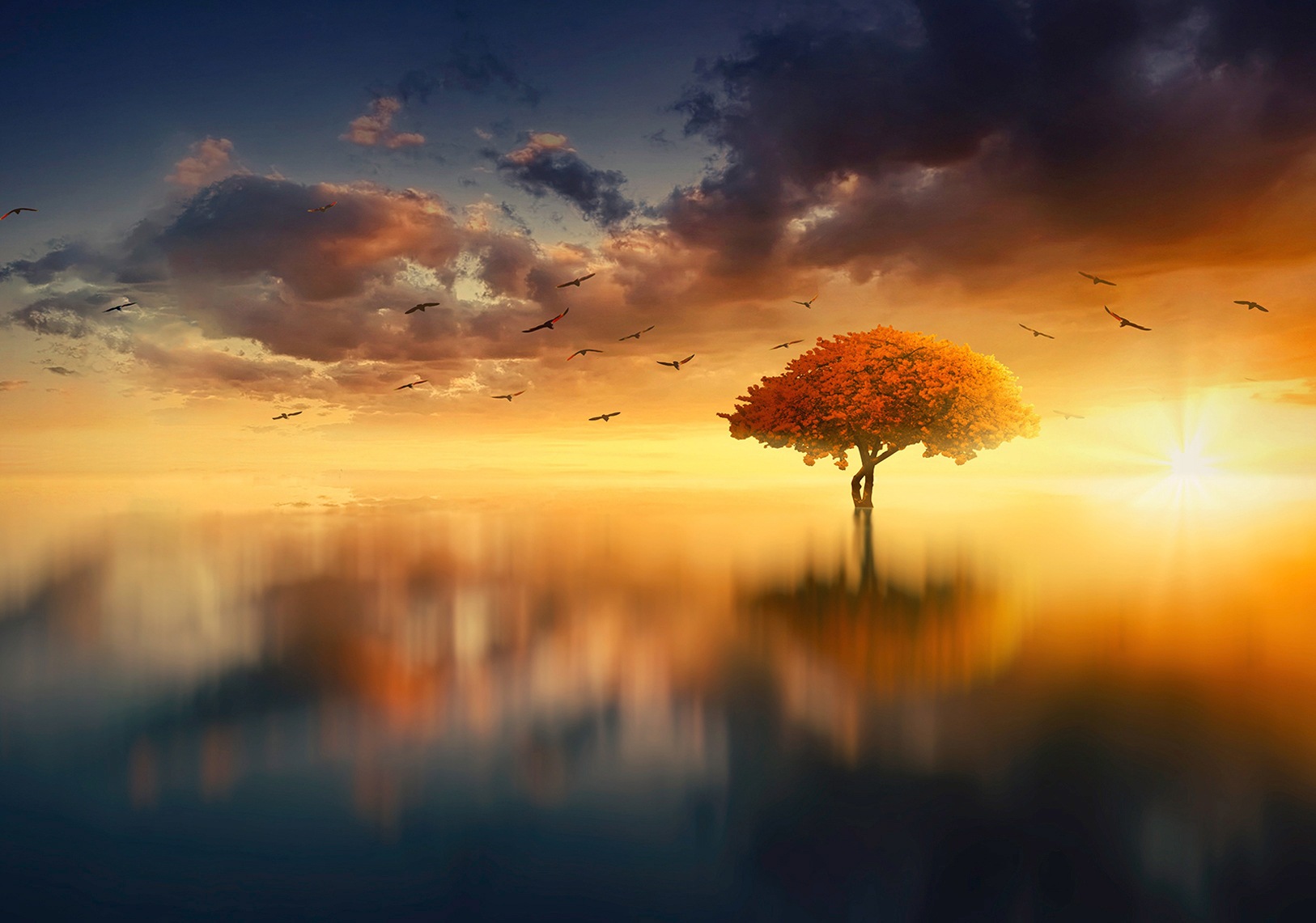 Image of Consalnet Vliestapete »HIMMEL BAUM«, grafisch, in verschiedenen Grössen bei Ackermann Versand Schweiz