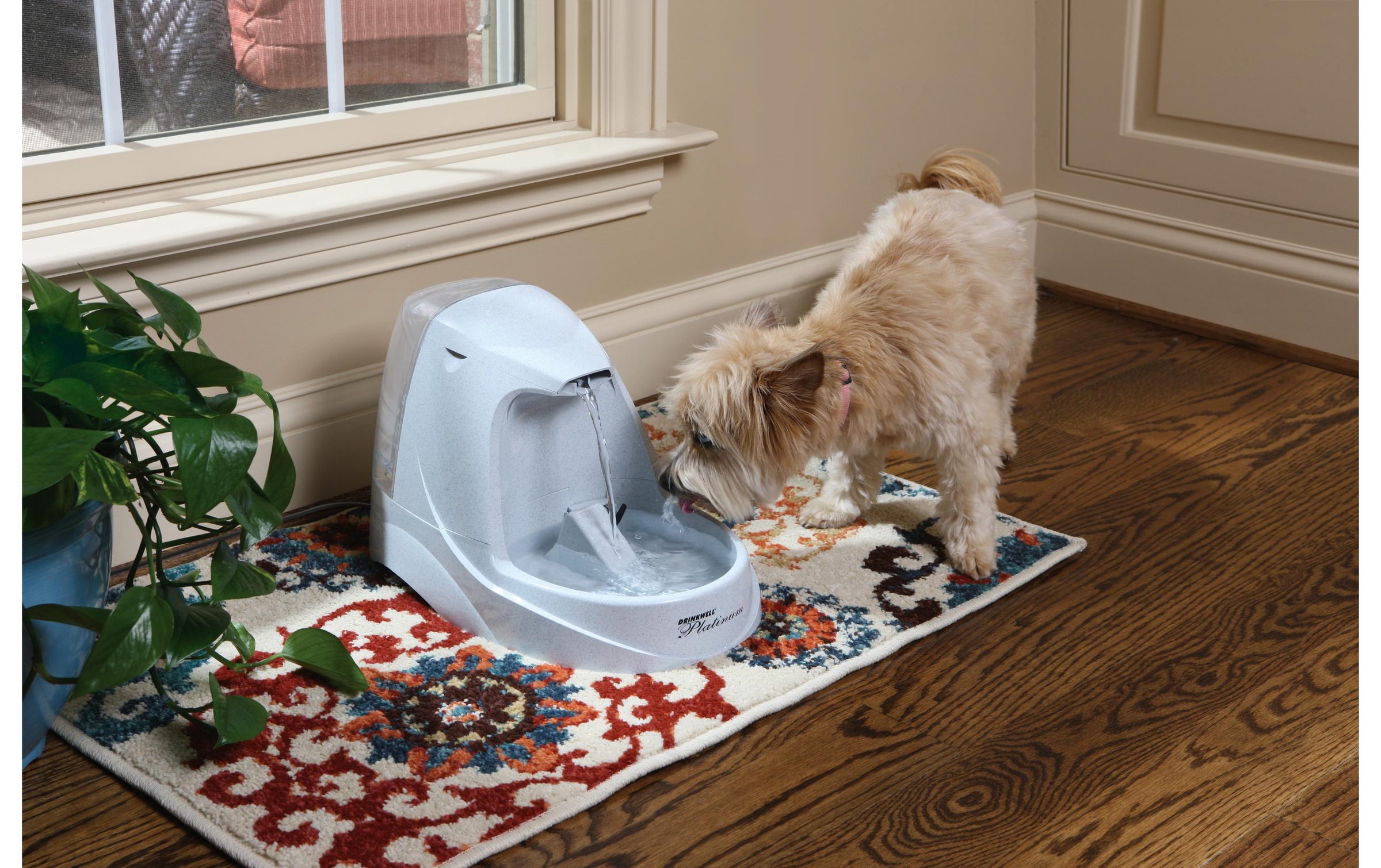 PetSafe Wasserspender »Drinkwell Trinkbrunnen Platinum 5 l«