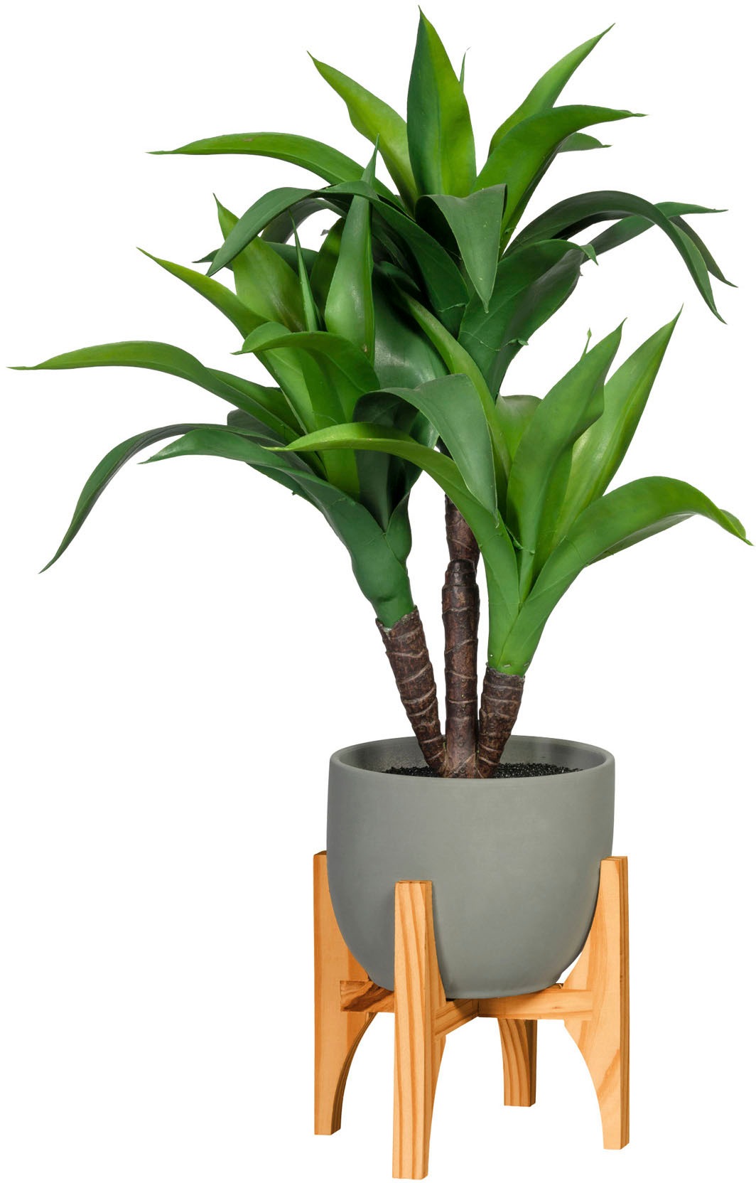 Image of Creativ green Künstliche Zimmerpflanze »Cordyline stricta«, (1 St.), im Keramiktopf bei Ackermann Versand Schweiz