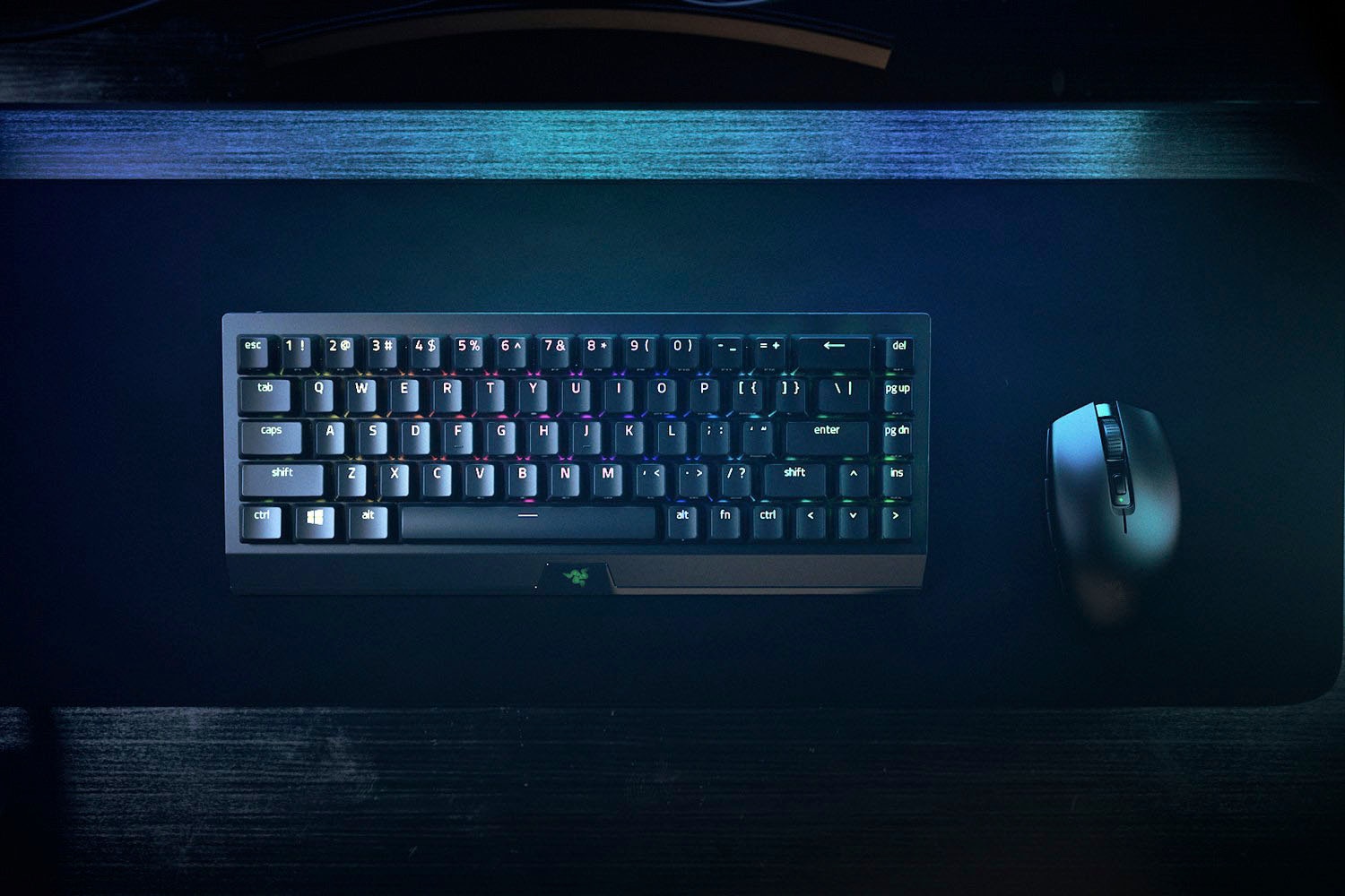 RAZER Clavier de jeu »BlackWidow V3 Mini HyperSpeed - Gelb Switch - DE« ()