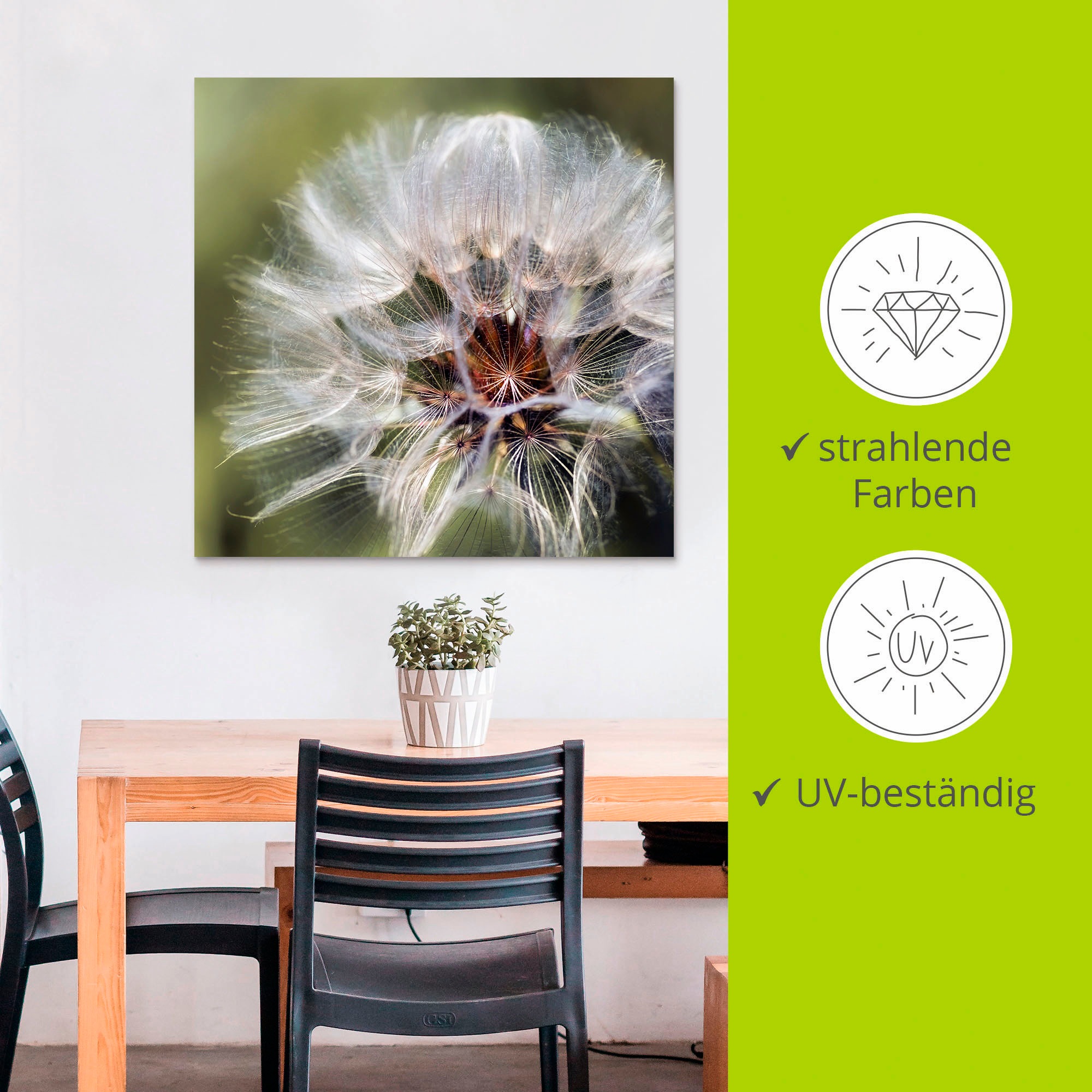 Artland Impression alu-dibond »Pusteblume II« 1 cuis tlg. für Innen- und Aussenbereich geeignet, Outdoorbild