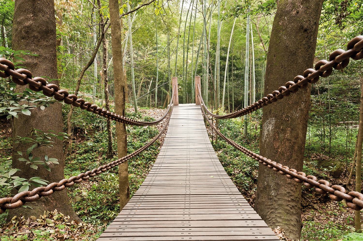 Image of Papermoon Fototapete »Suspension Bridge« bei Ackermann Versand Schweiz