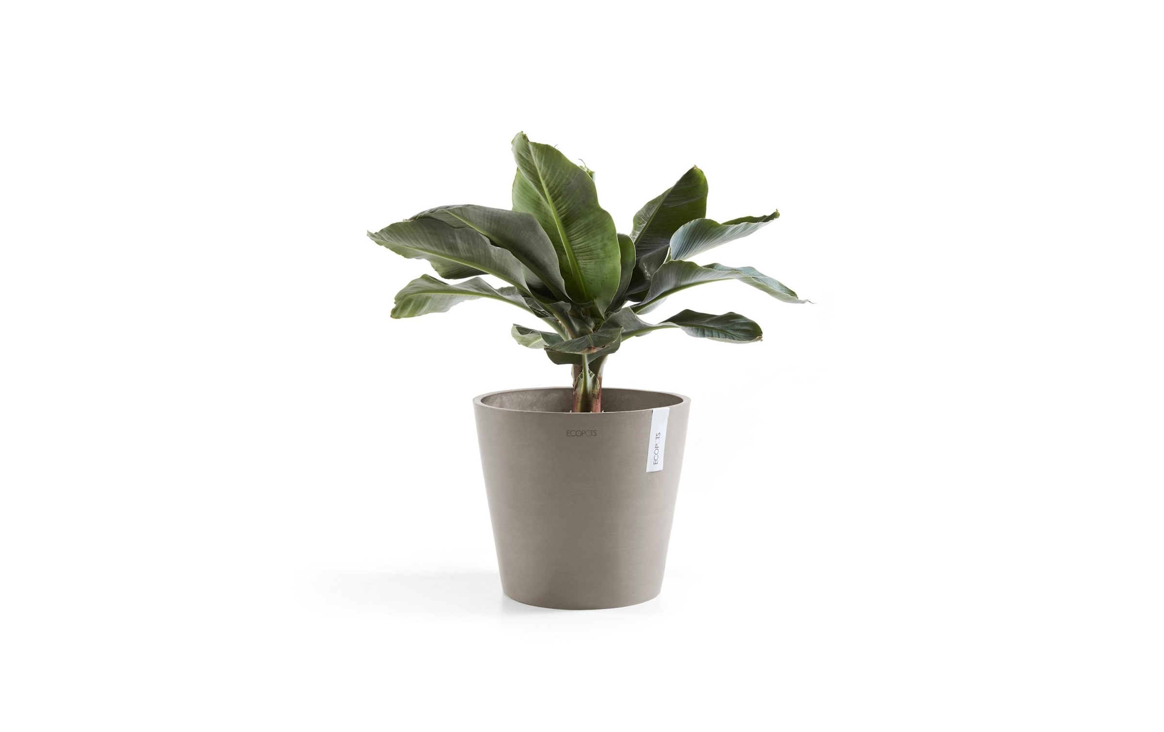 ECOPOTS Pflanzkübel »Amsterdam 30«, (1 St.)