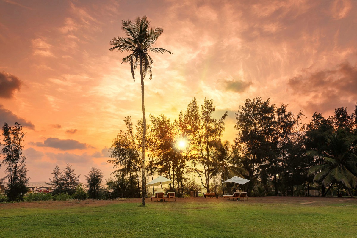 Image of Papermoon Fototapete »Palme auf Wiese«, Vliestapete, hochwertiger Digitaldruck, inklusive Kleister bei Ackermann Versand Schweiz