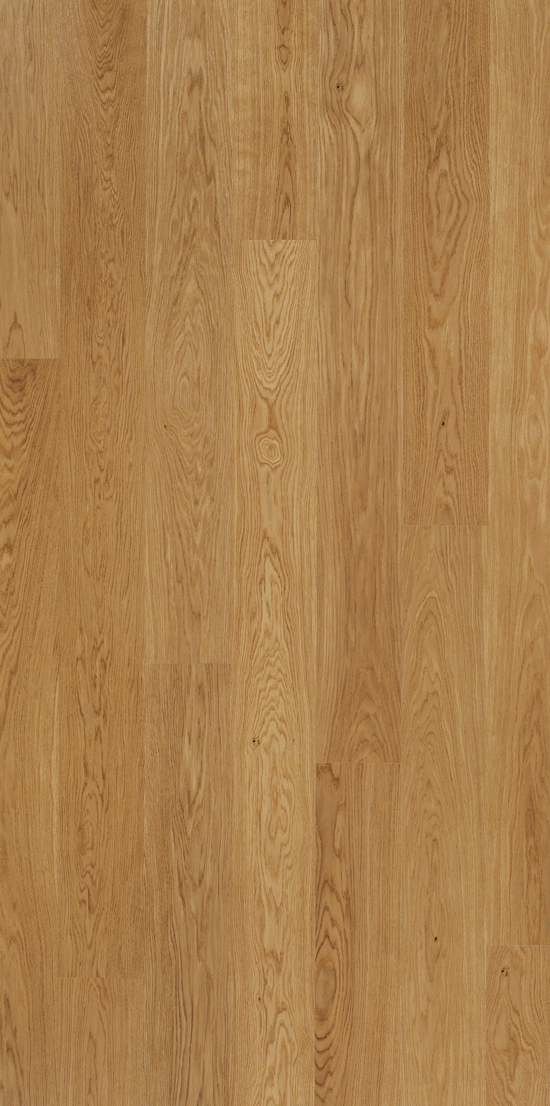 Image of PARADOR Parkett »Classic 3060 Select - Eiche, lackiert«, (Packung), Klicksystem, 2200 x 185 mm, Stärke: 13 mm, 3,66 m² bei Ackermann Versand Schweiz