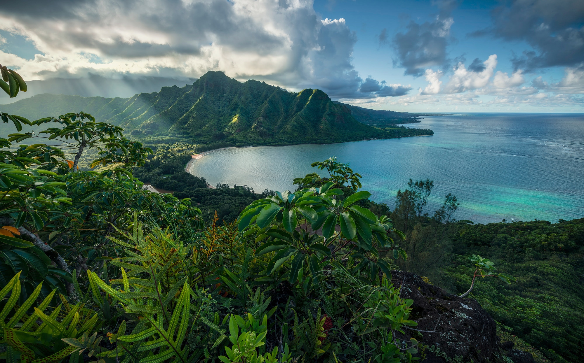 Image of Komar Fototapete »Jurassic Island«, mehrfarbig-natürlich-bedruckt bei Ackermann Versand Schweiz