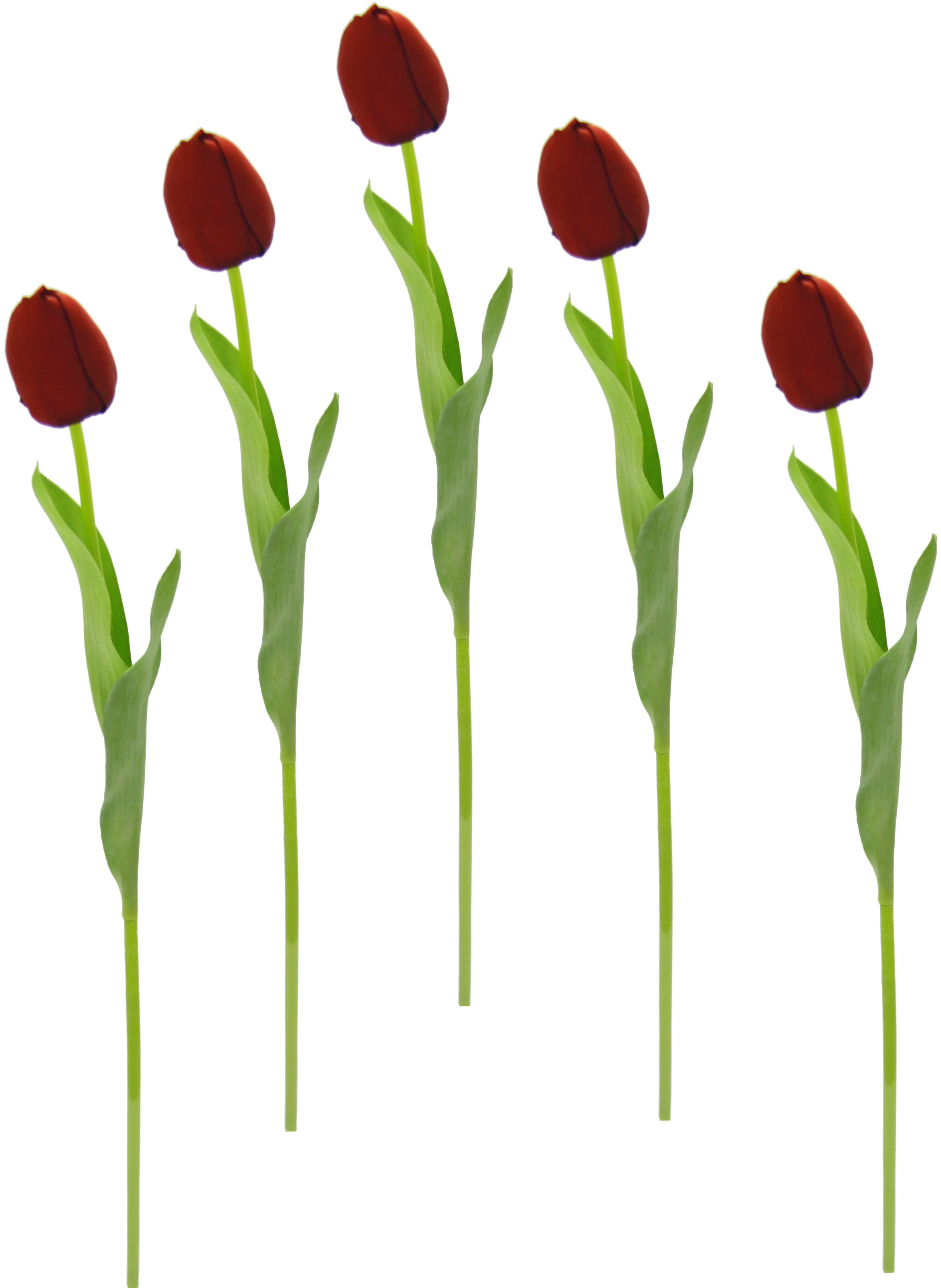 Tulpen«, Kunstblume jetzt Tulpenknospen, I.GE.A. Set Kunstblumen, Stielblume Touch 5er künstliche kaufen »Real