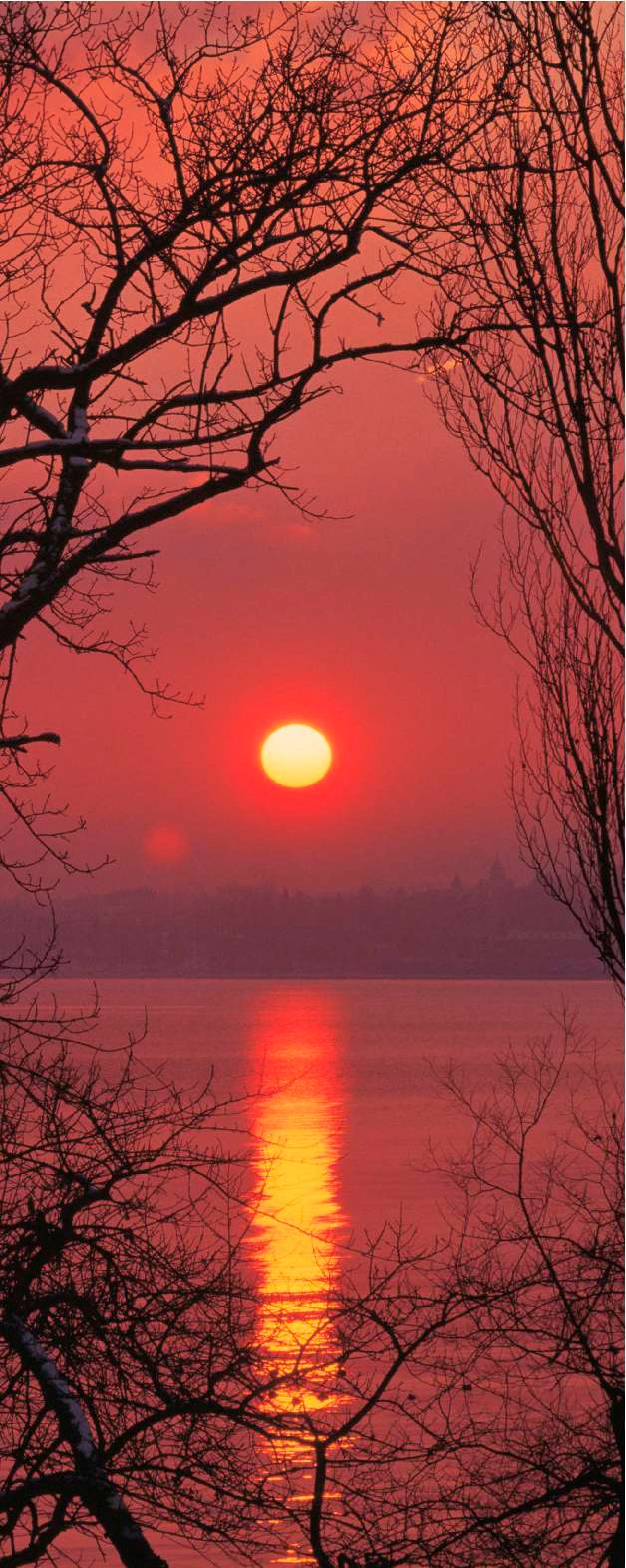 Image of Papermoon Fototapete »Moonlight - Türtapete«, matt, Vlies, 2 Bahnen, 90 x 200 cm bei Ackermann Versand Schweiz