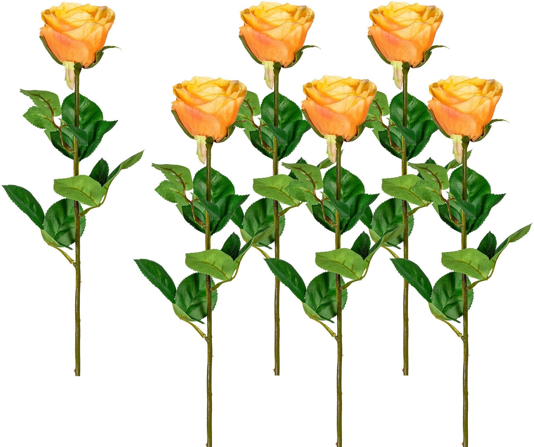 Image of Creativ green Kunstblume, (6 St.) bei Ackermann Versand Schweiz