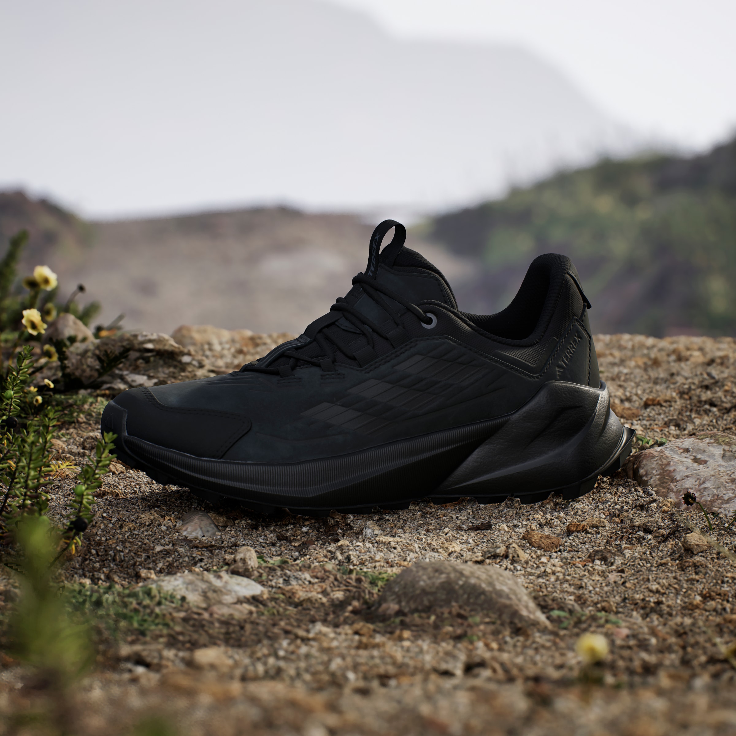 adidas TERREX Wanderschuh »TERREX TRAILMAKER 2.0 LEATHER«