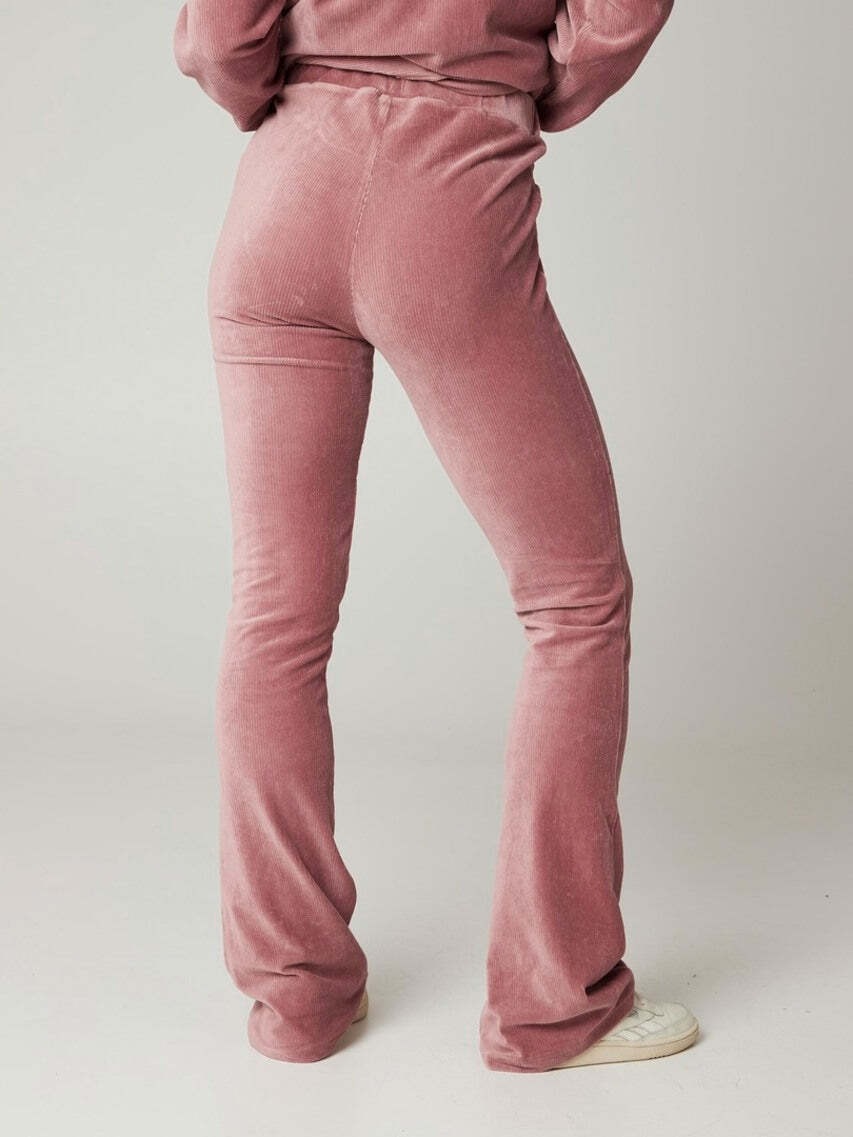 Protest Trainingshose »Trainerhose PRTGARNET«