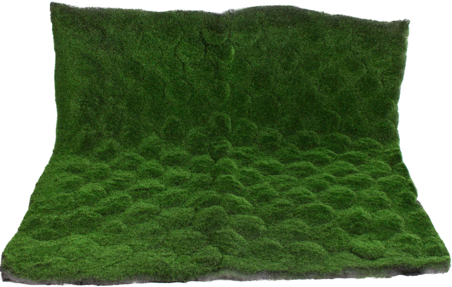 Image of Botanic-Haus Künstliche Zimmerpflanze »Moosmatte«, (1 St.) bei Ackermann Versand Schweiz