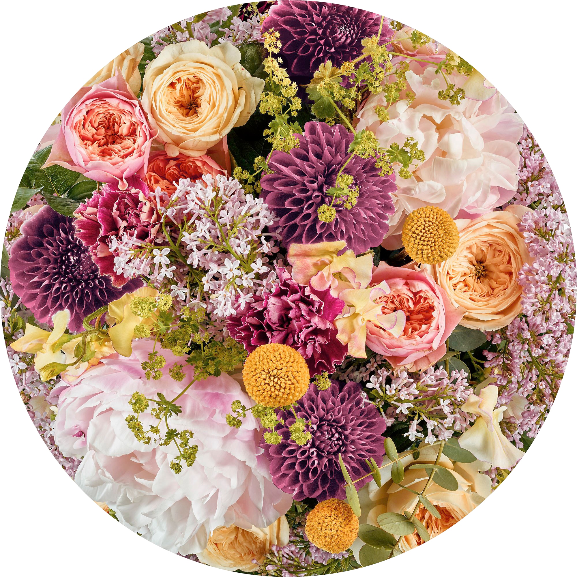 Image of Komar Fototapete "Vlies selbstklebend - Frescas - Grösse 125 x 125 cm" bedruckt glatt Wohnzimmer, Schlafzimmer
