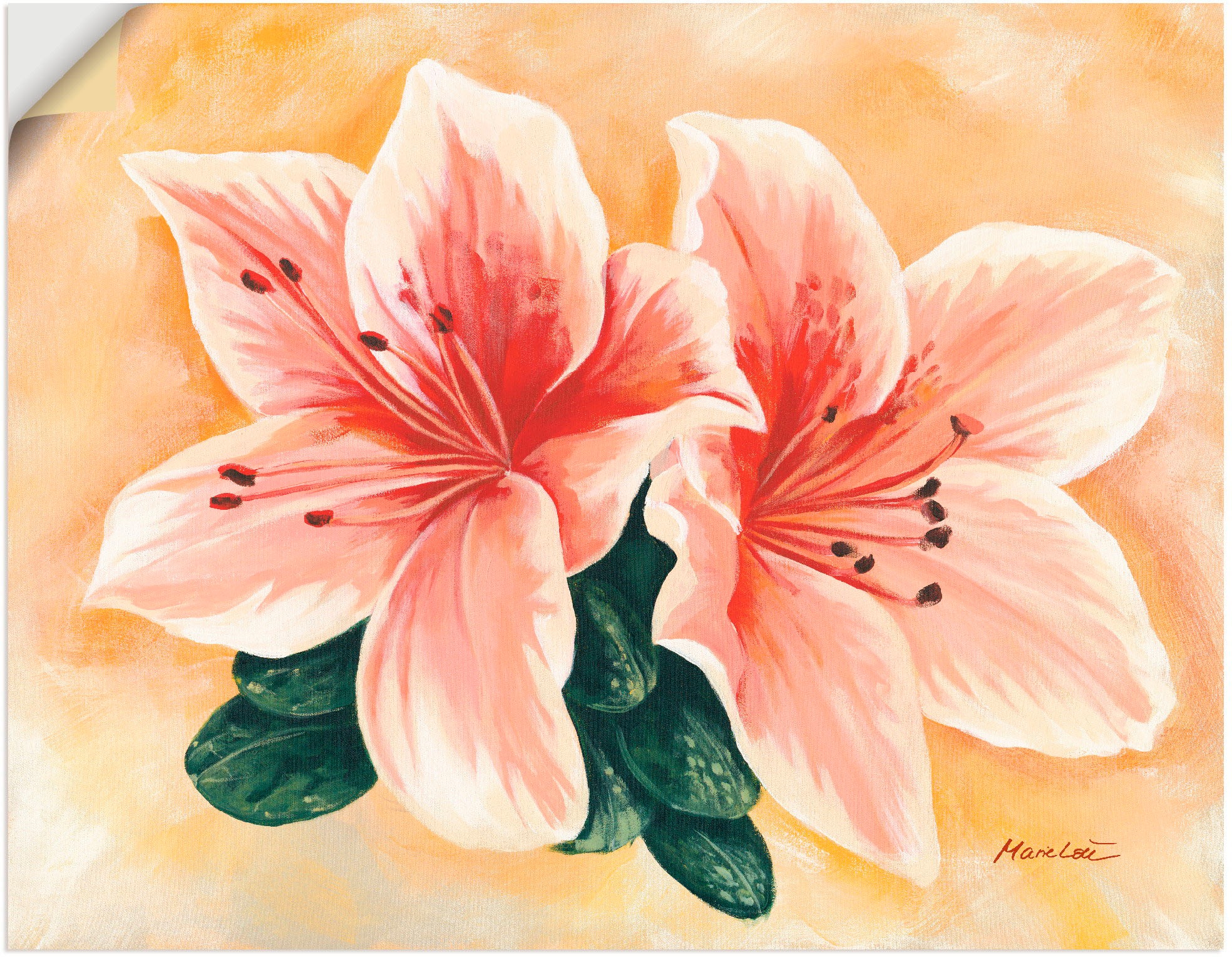 Image of Artland Wandbild »lachsfarbene Lilien«, Blumen, (1 St.), in vielen Grössen & Produktarten - Alubild / Outdoorbild für den Aussenbereich, Leinwandbild, Poster, Wandaufkleber / Wandtattoo auch für Badezimmer geeignet bei Ackermann Versand Schweiz