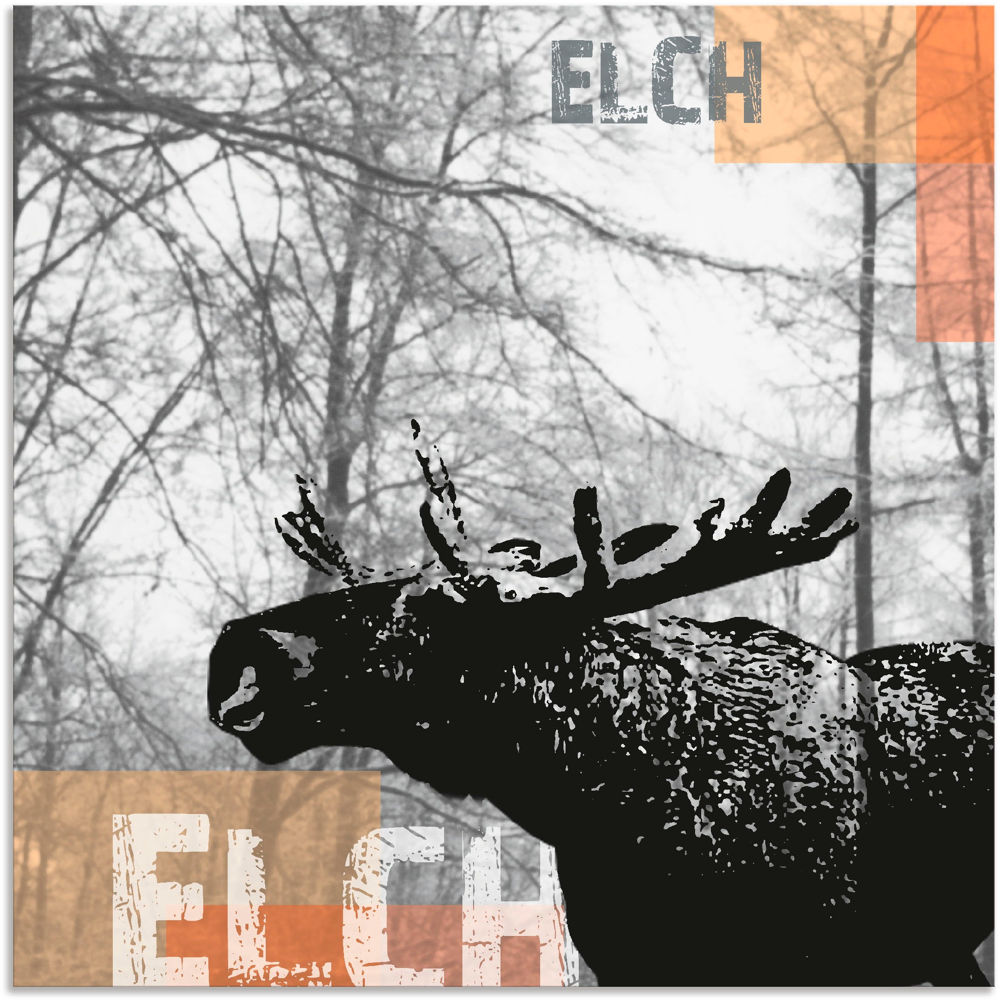 Image of Artland Wandbild »Elch«, Wildtiere, (1 St.), in vielen Grössen & Produktarten - Alubild / Outdoorbild für den Aussenbereich, Leinwandbild, Poster, Wandaufkleber / Wandtattoo auch für Badezimmer geeignet bei Ackermann Versand Schweiz