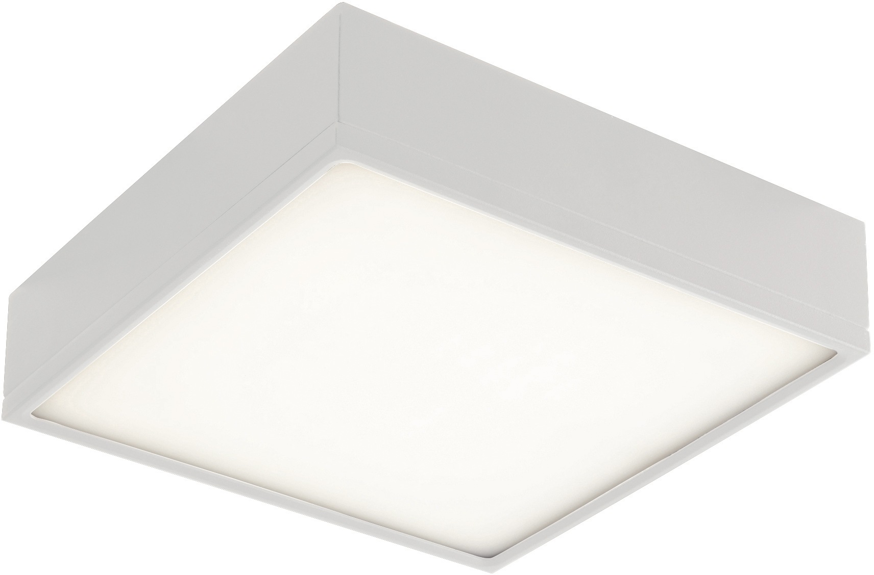 Image of LUCE Design Deckenleuchte »LED-KLIO-Q21«, LED-Modul, 1 St., Neutralweiss bei Ackermann Versand Schweiz