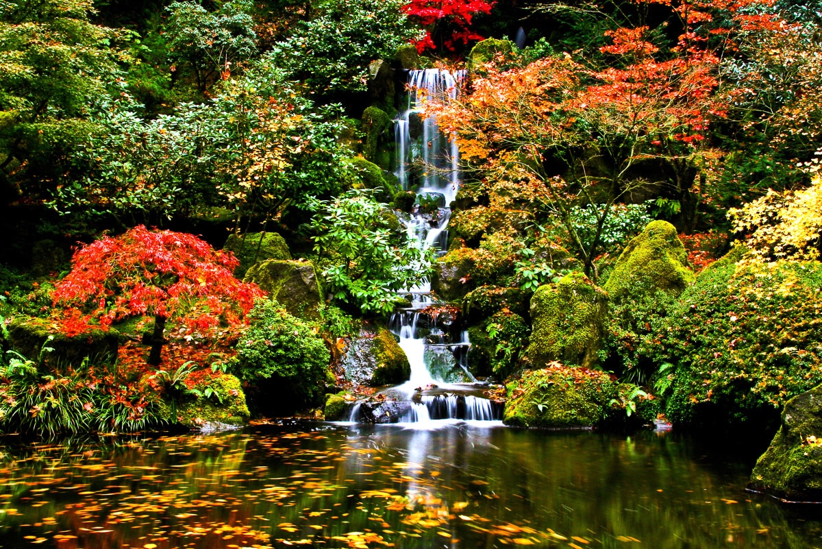 Image of Papermoon Fototapete "Wasserfall in Japanischen garten"