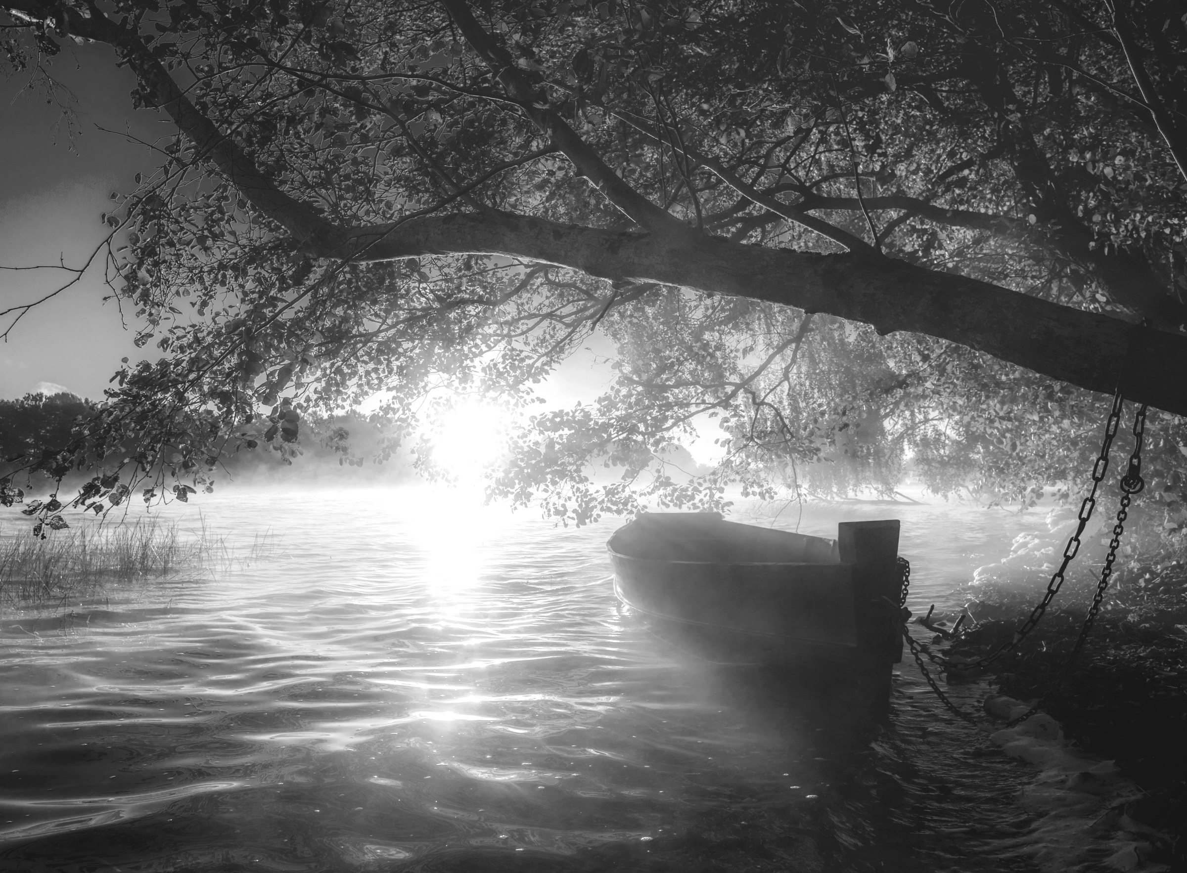 Image of Papermoon Fototapete "Boot im Wasser Schwarz & Weiss"