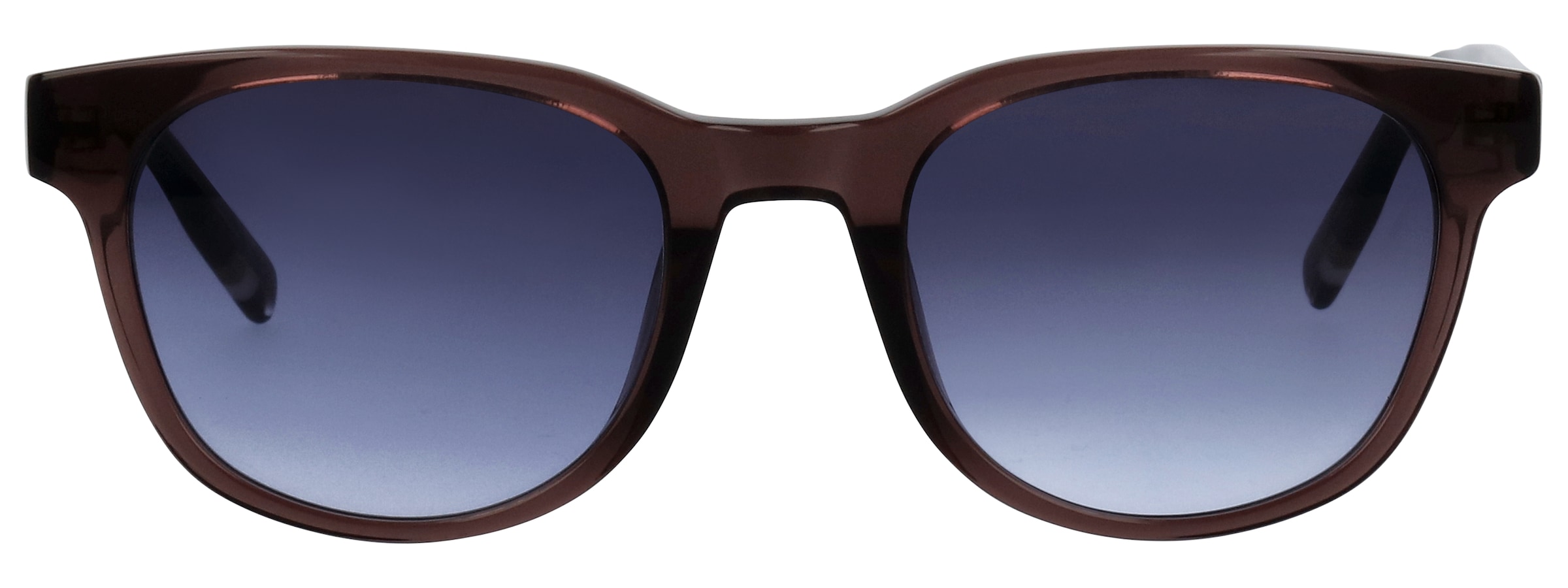 TOM TAILOR Lunettes de soleil »Modell 676018« Form Karree/Soft, Logoschriftzug auf Bügel, Kunststofffassung