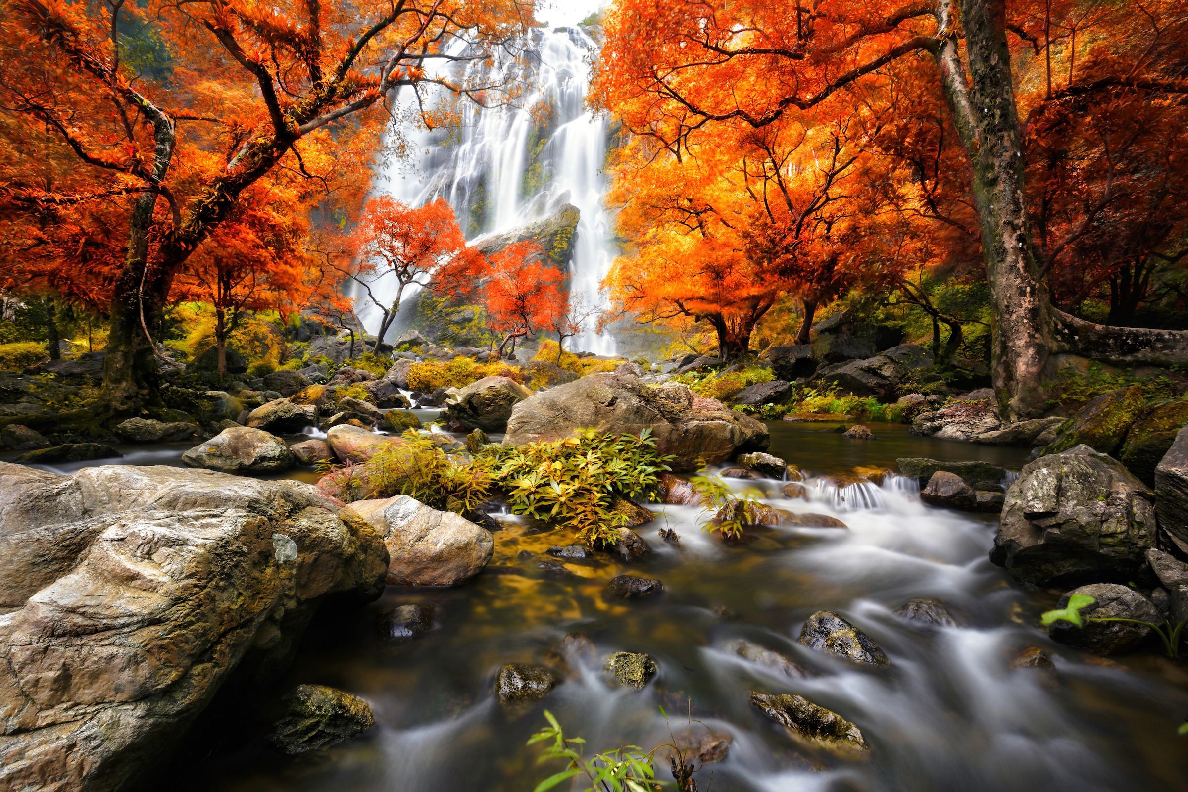 Image of Papermoon Fototapete "WASSERFALL-HERBST BÄUME WALD NATUR LANDSCHAFT DSCHUNGEL"