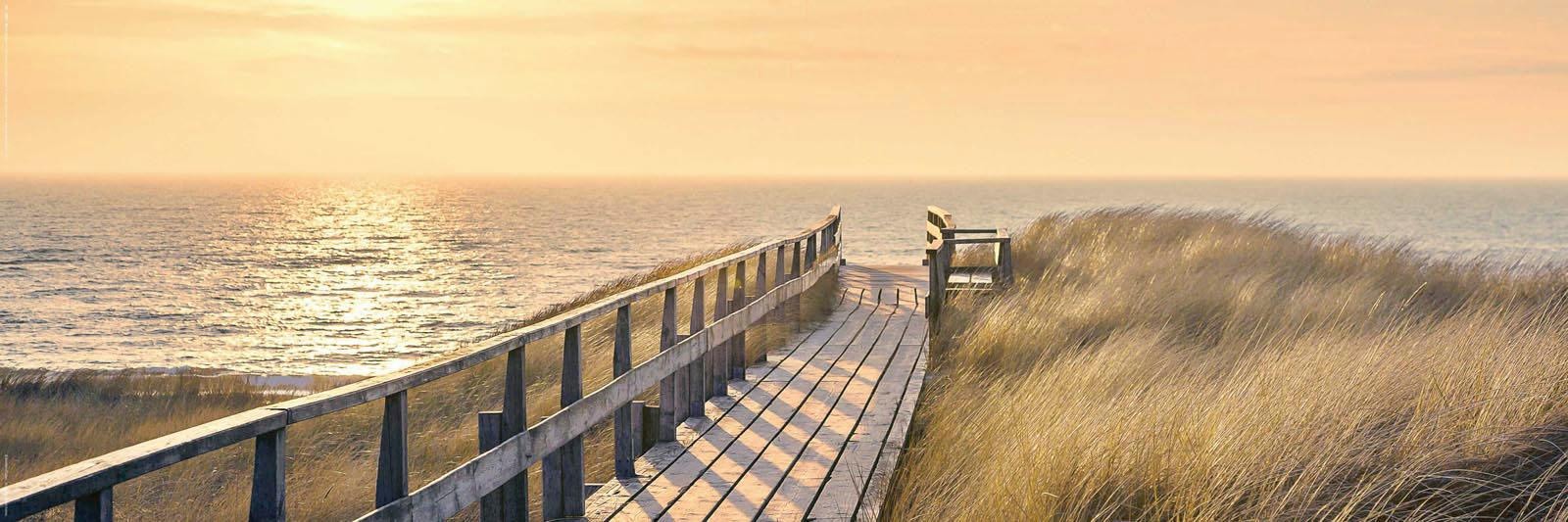 Image of Reinders! Deco-Panel »Weg zum Meer« bei Ackermann Versand Schweiz