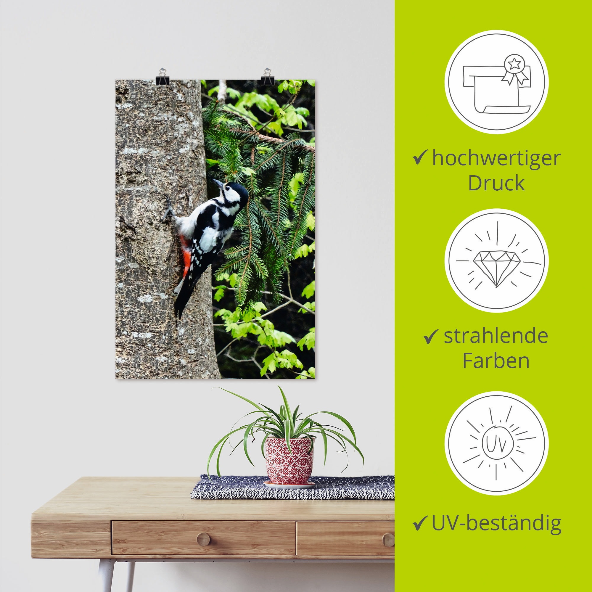 Artland »Buntspecht im Wald« 1 cuis tlg. ohne Rahmen