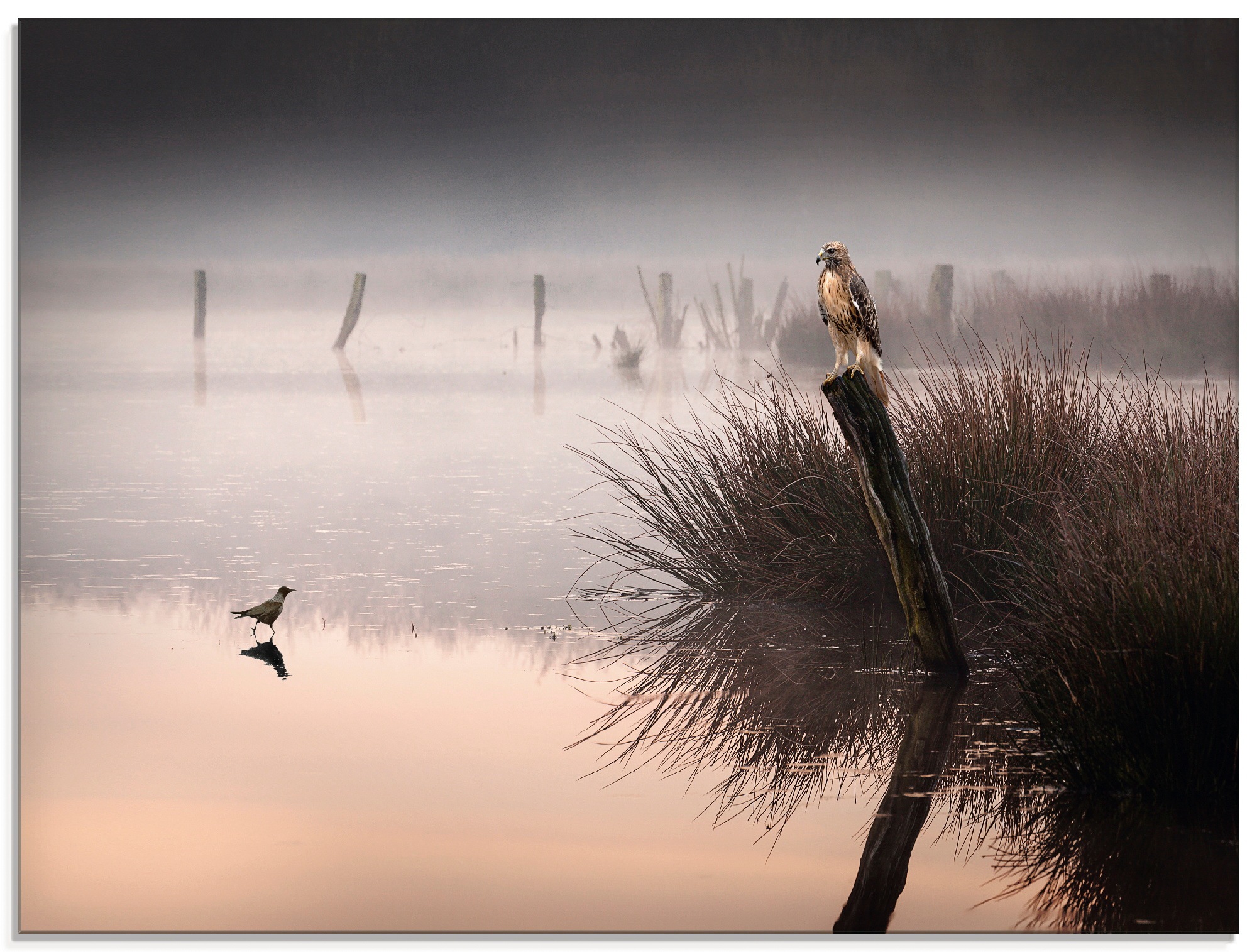 Image of Artland Glasbild »Mutprobe«, Gewässer, (1 St.) bei Ackermann Versand Schweiz