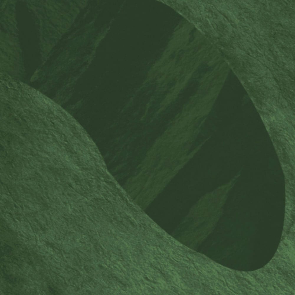 Komar Fototapete »Digitaldruck Vlies - Botanic Harmony - Grösse 500 x 250 cm«, bedruckt, Wohnzimmer, Schlafzimmer