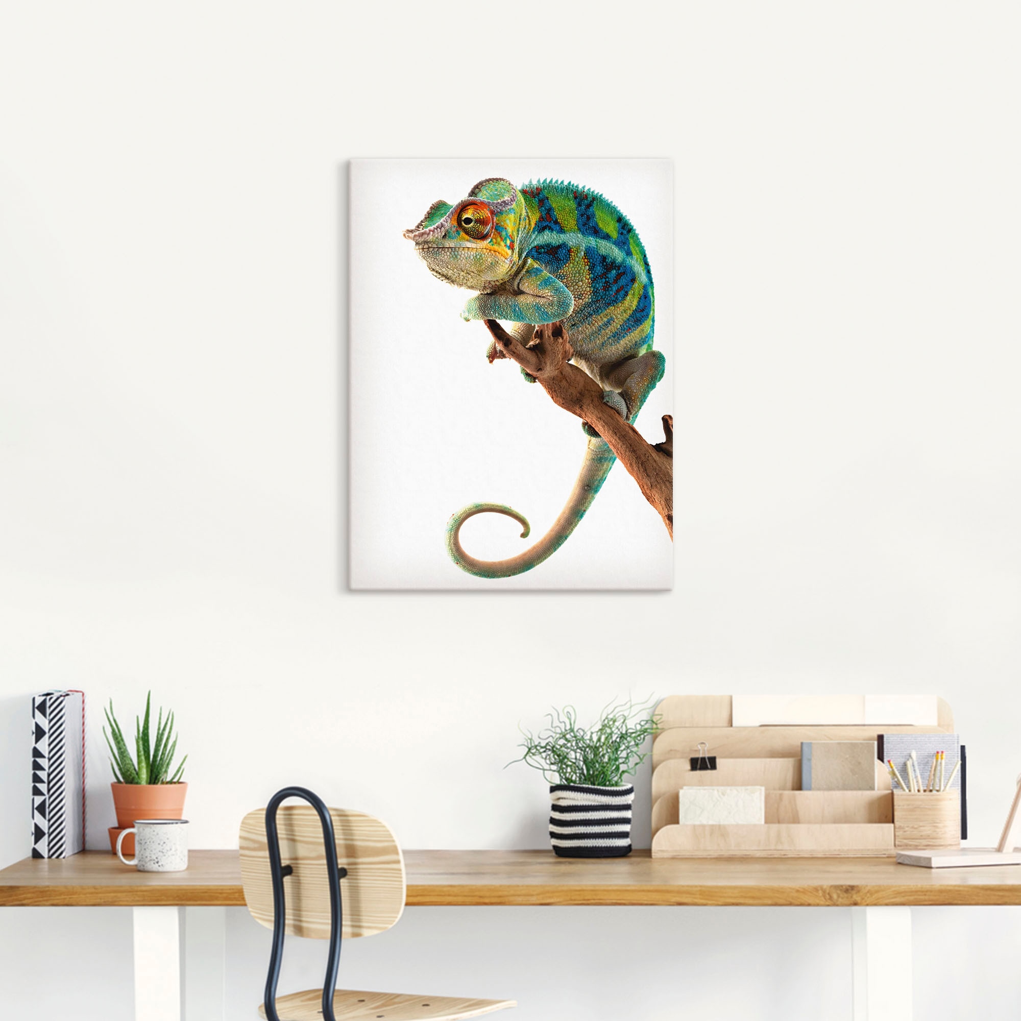 Artland Wandbild »Ambanja Panther Chamäleon«, Reptilien, (1 St.), als Leinwandbild, Poster in verschied. Grössen
