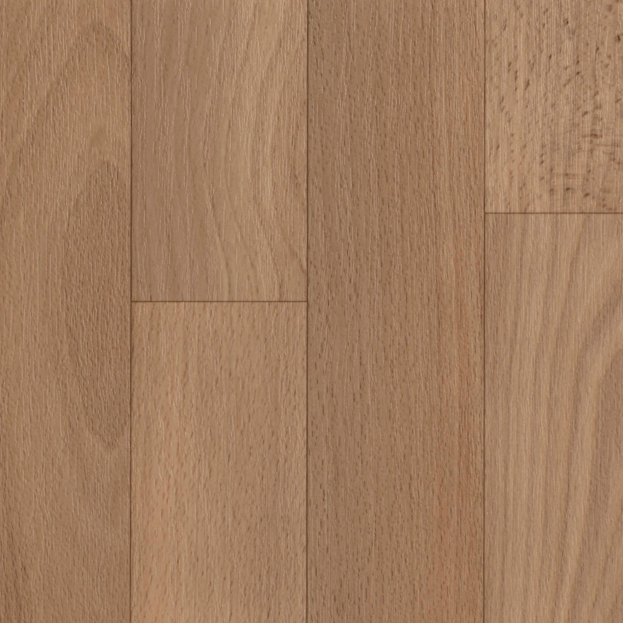 Image of Bodenmeister Vinylboden »PVC Bodenbelag Holzoptik Schiffsboden Buche«, Meterware, Breite 200/300/400 cm bei Ackermann Versand Schweiz