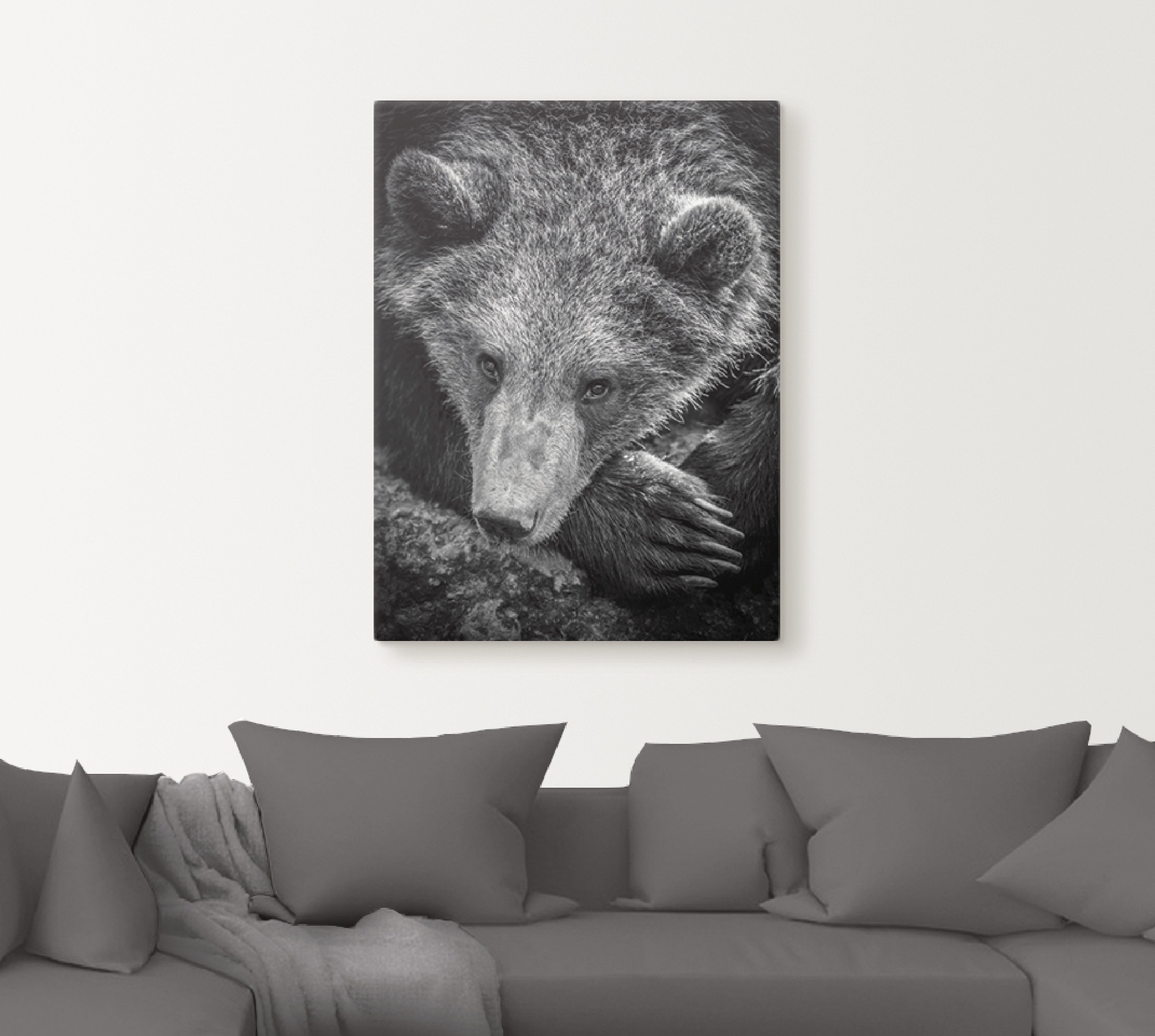 Image of Artland Wandbild »Braunbär«, Wildtiere, (1 St.), in vielen Grössen & Produktarten -Leinwandbild, Poster, Wandaufkleber / Wandtattoo auch für Badezimmer geeignet bei Ackermann Versand Schweiz