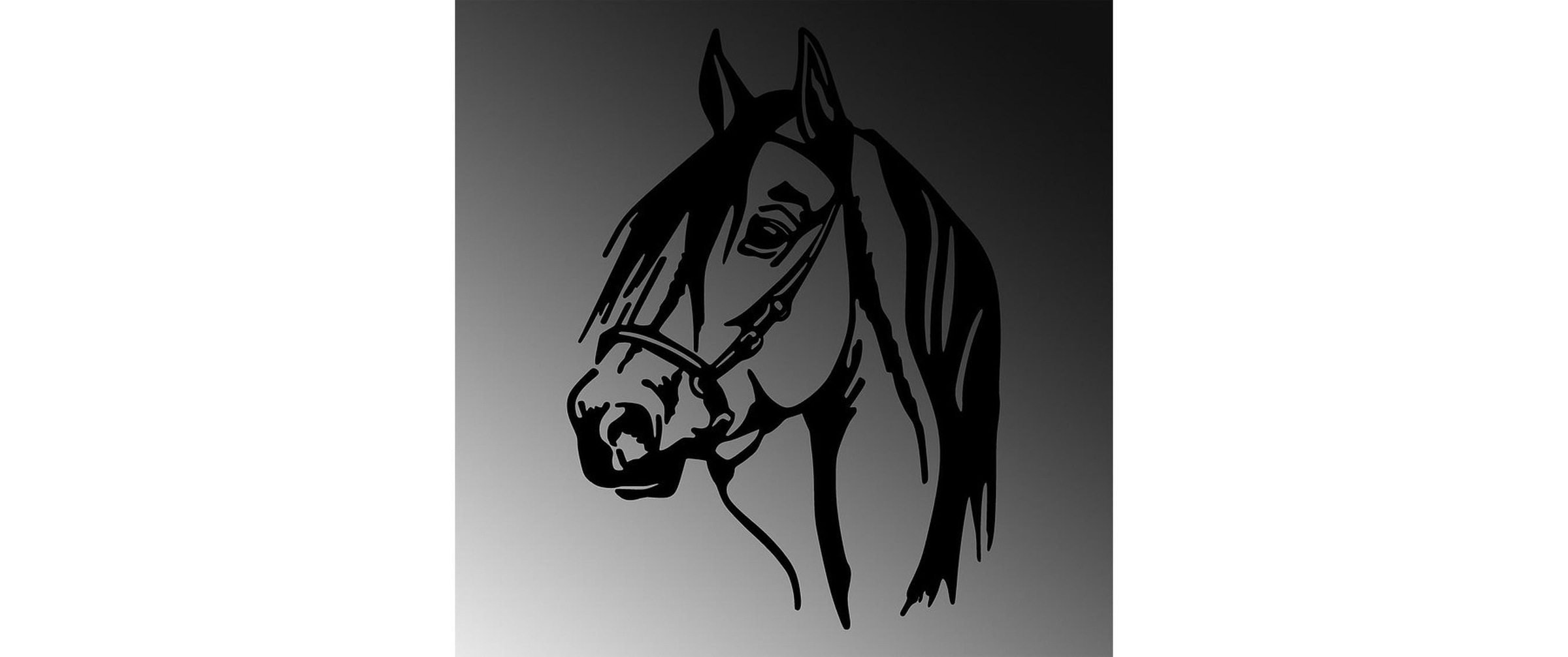 Wanddekoobjekt »Wallxpert Horse 40 x 55 cm Metall«