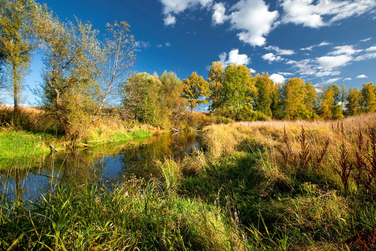 Image of Papermoon Fototapete "Fluss durch Feld"