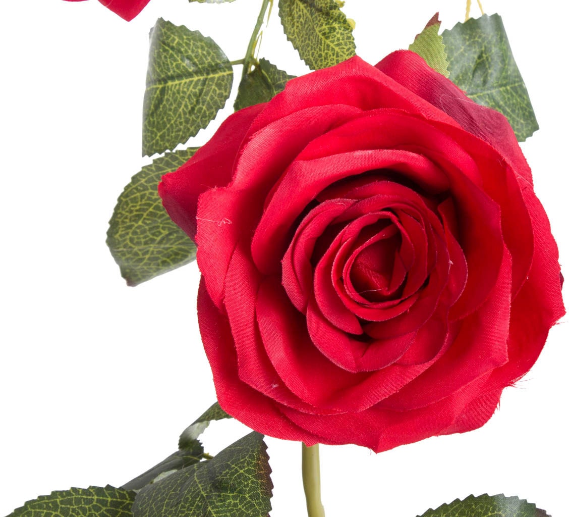 Botanic-Haus »Rosengirlande Kunstblume Dijon« jetzt kaufen