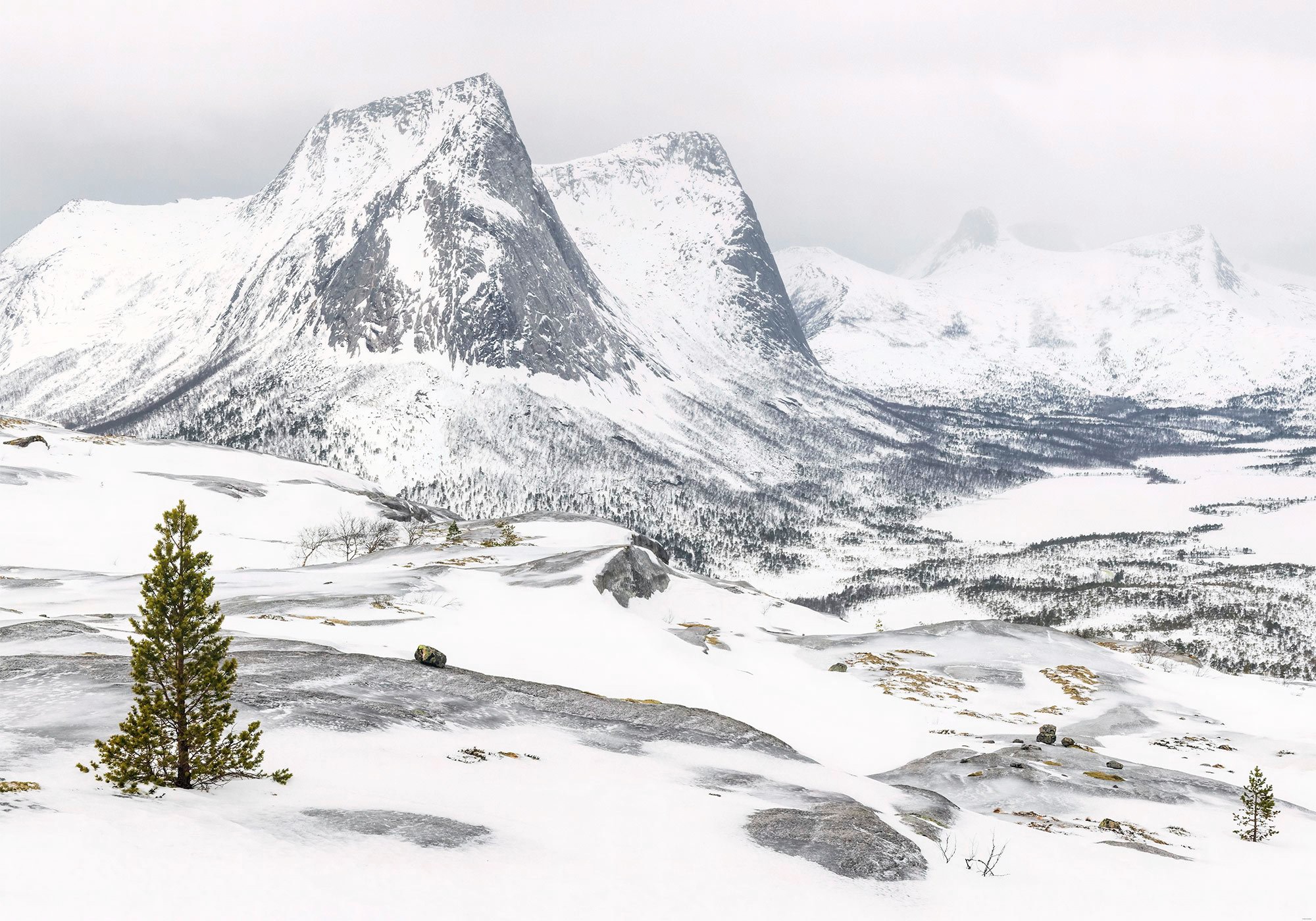 Image of Komar Fototapete »White Enchanted Mountains«, bedruckt-Comic-Retro-mehrfarbig, BxH: 400x280 cm bei Ackermann Versand Schweiz