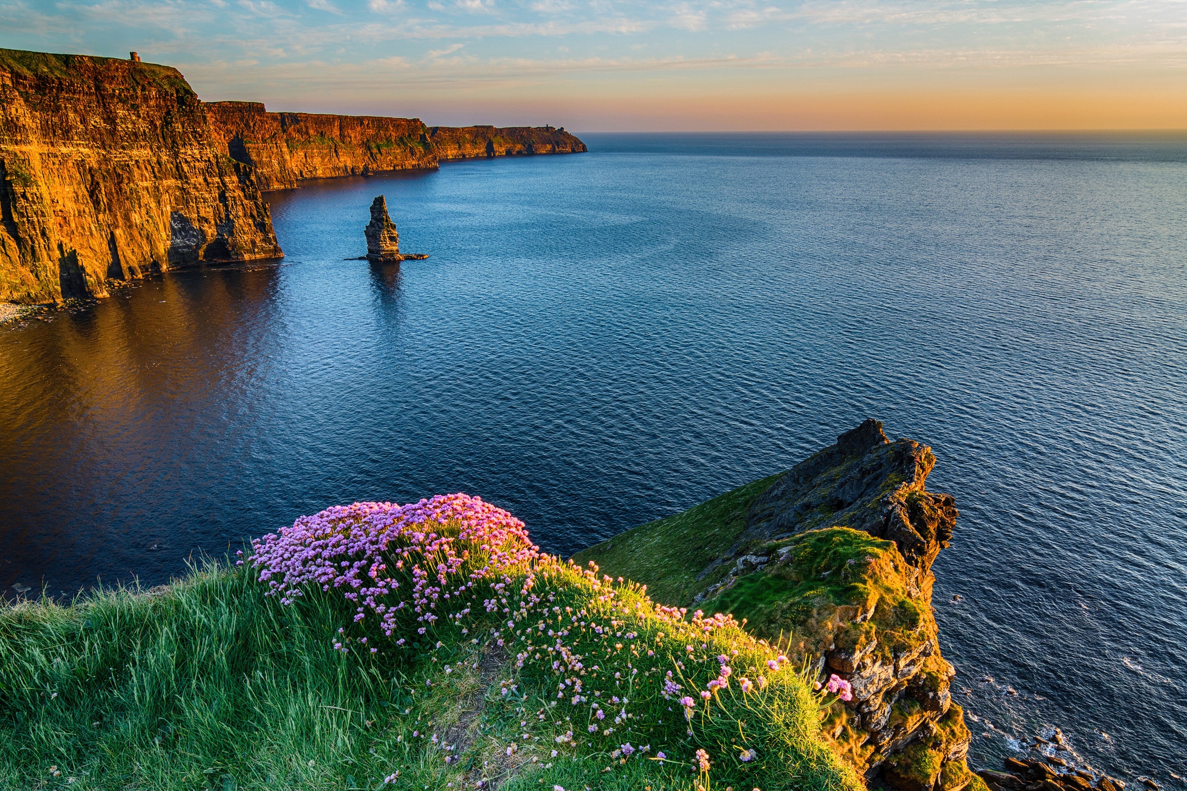 Image of Papermoon Fototapete "MOHER IRLAND-STRAND KLIPPEN KÜSTE BLUMEN MEER GEBIRGE"