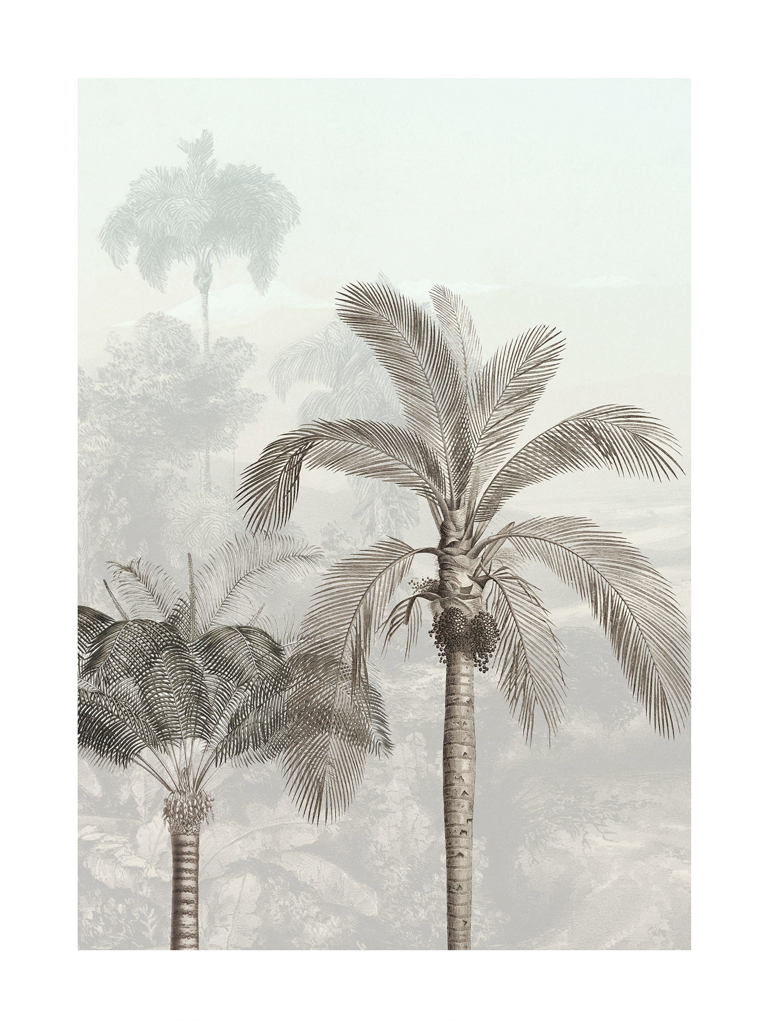 Image of Komar Bild "Jungle Panorama" Natur 1 Stk. tlg. Wandbild zur Dekoration - ohne Rahmen