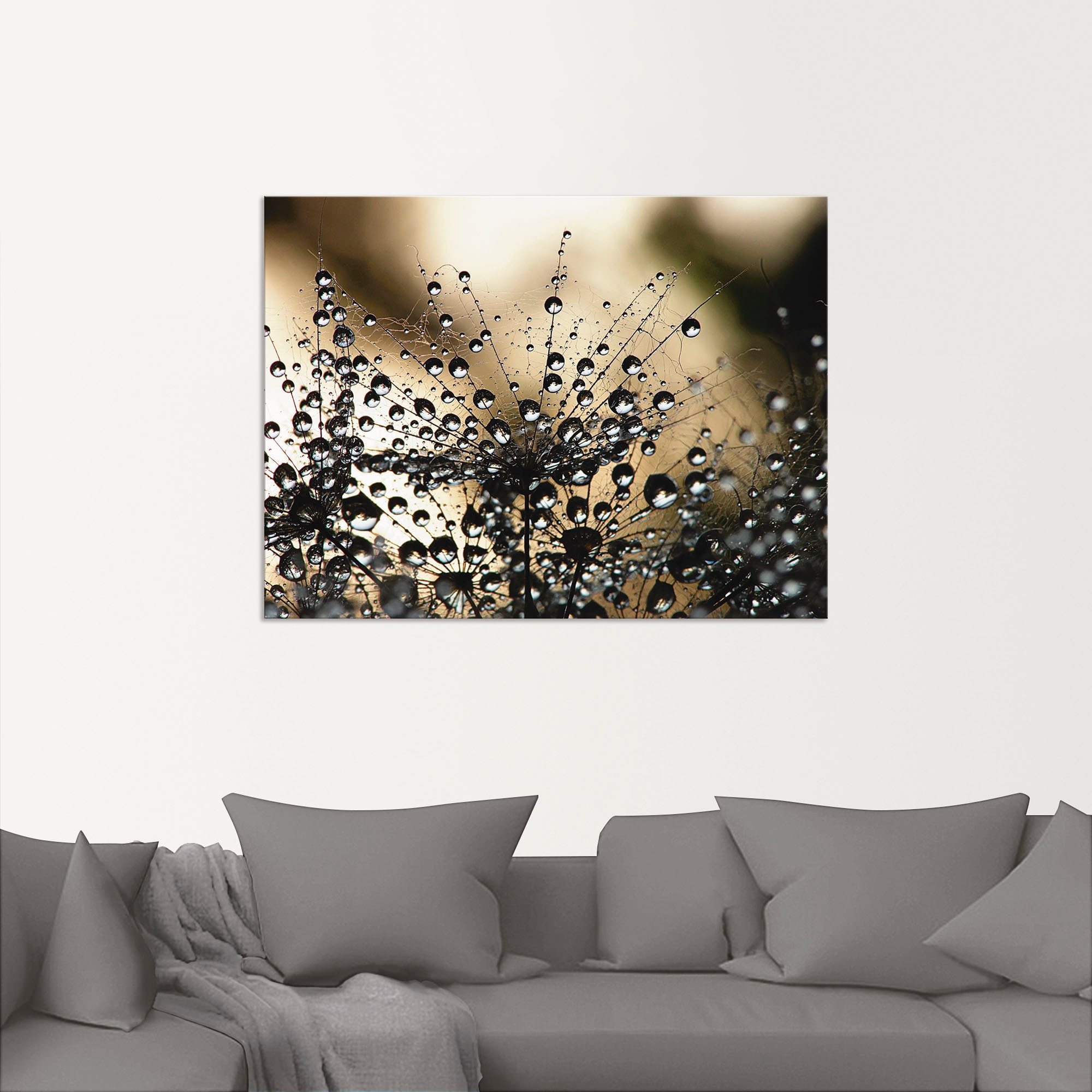 Artland Fresque murale »Nasser Löwenzahn« 1 cuis tlg. als Alubild, Leinwandbild in verschied. Grössen