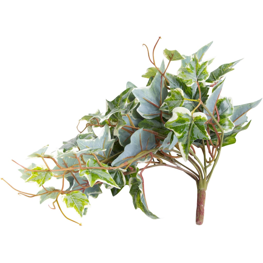 Botanic-Haus Künstliche Zimmerpflanze »Efeu-Hängebusch mit 9 Stielen«