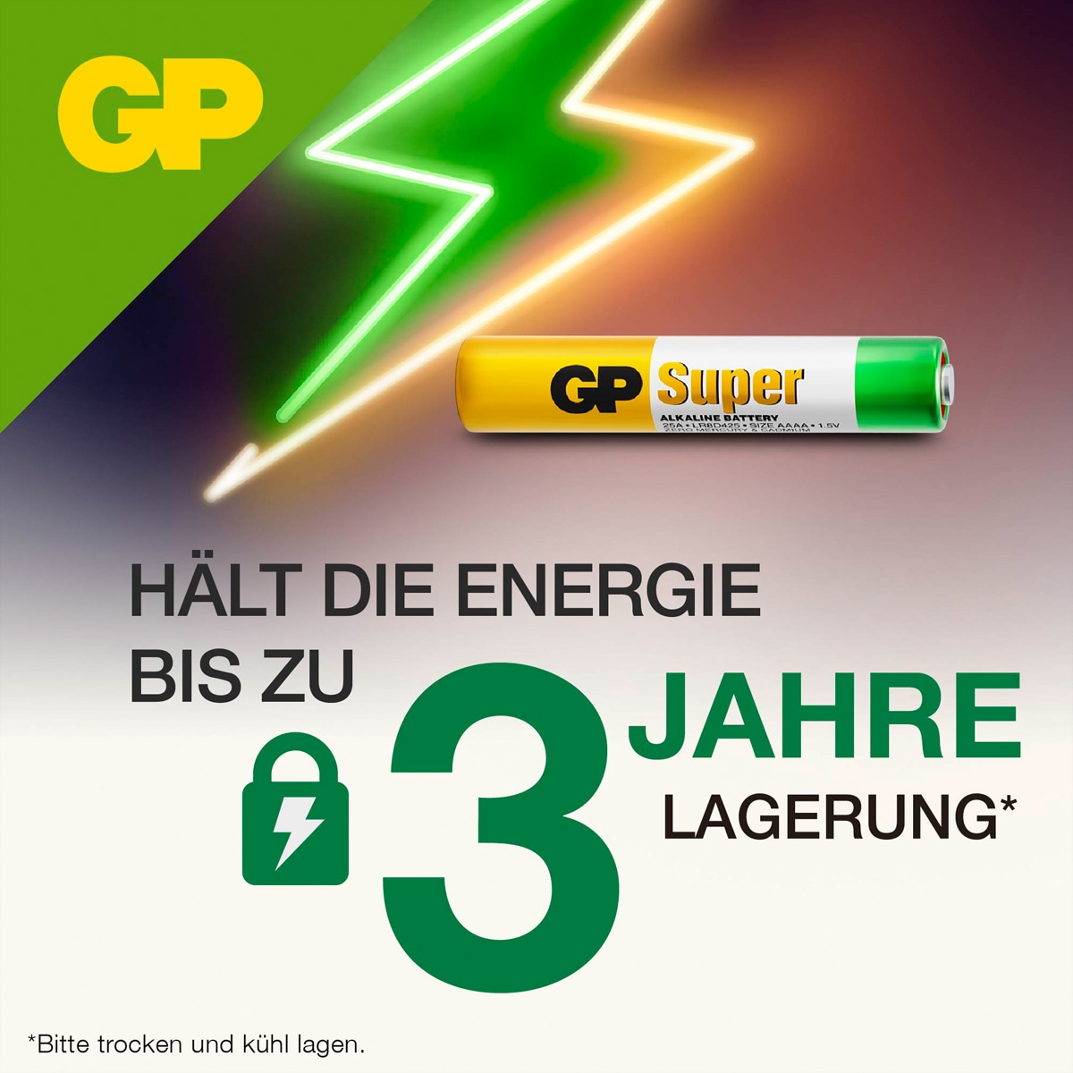 GP Batteries Akku-Ladestation