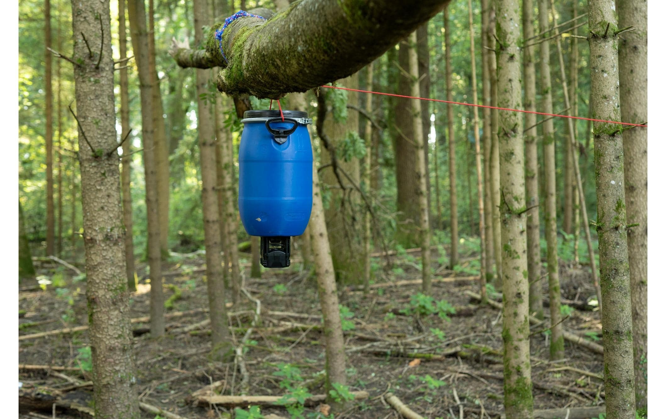 Futterautomat »Dörr Compact Futterstreuer ohne Behälter«