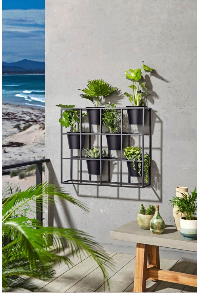 Image of Schneider Übertopf »Regal«, (1 St.) bei Ackermann Versand Schweiz