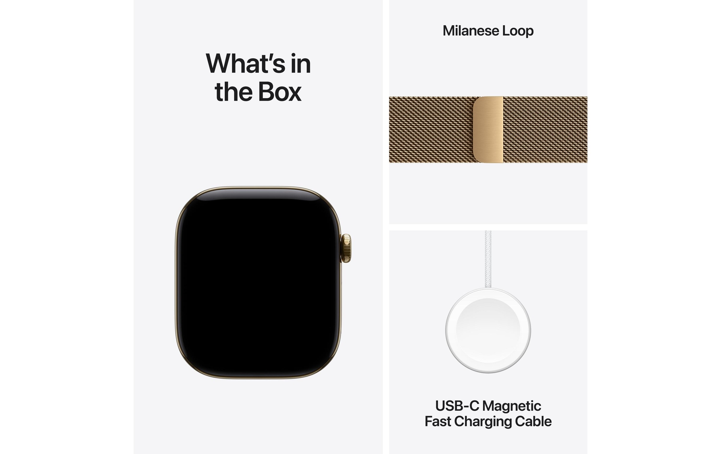 Apple Smartwatch »Apple Watch S12 46 mm CEL Titanium, Milanese Loop«(46/ 1,81 ″)