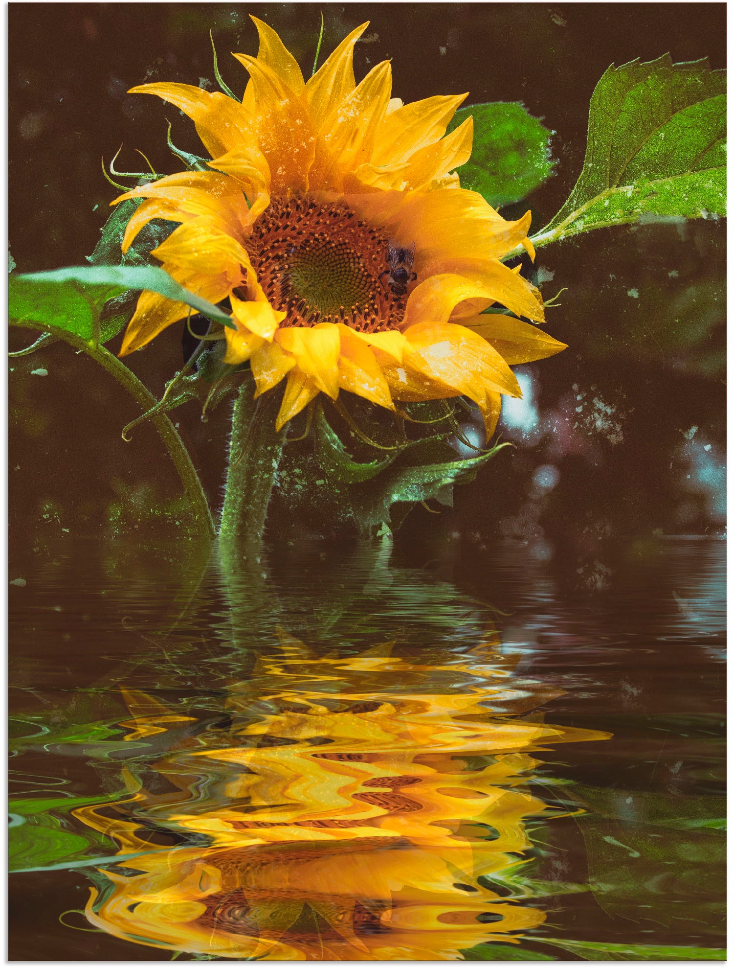 Image of Artland Alu-Dibond-Druck "Sonnenblume" Blumen 1 Stk. tlg. für Innen- und Aussenbereich geeignet, Outdoorbild