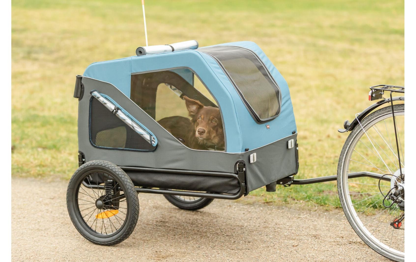 TRIXIE Panier de vélo pour animaux »Fahrradanhänger S blau/grau, 70 x 88 x 88/131 cm«