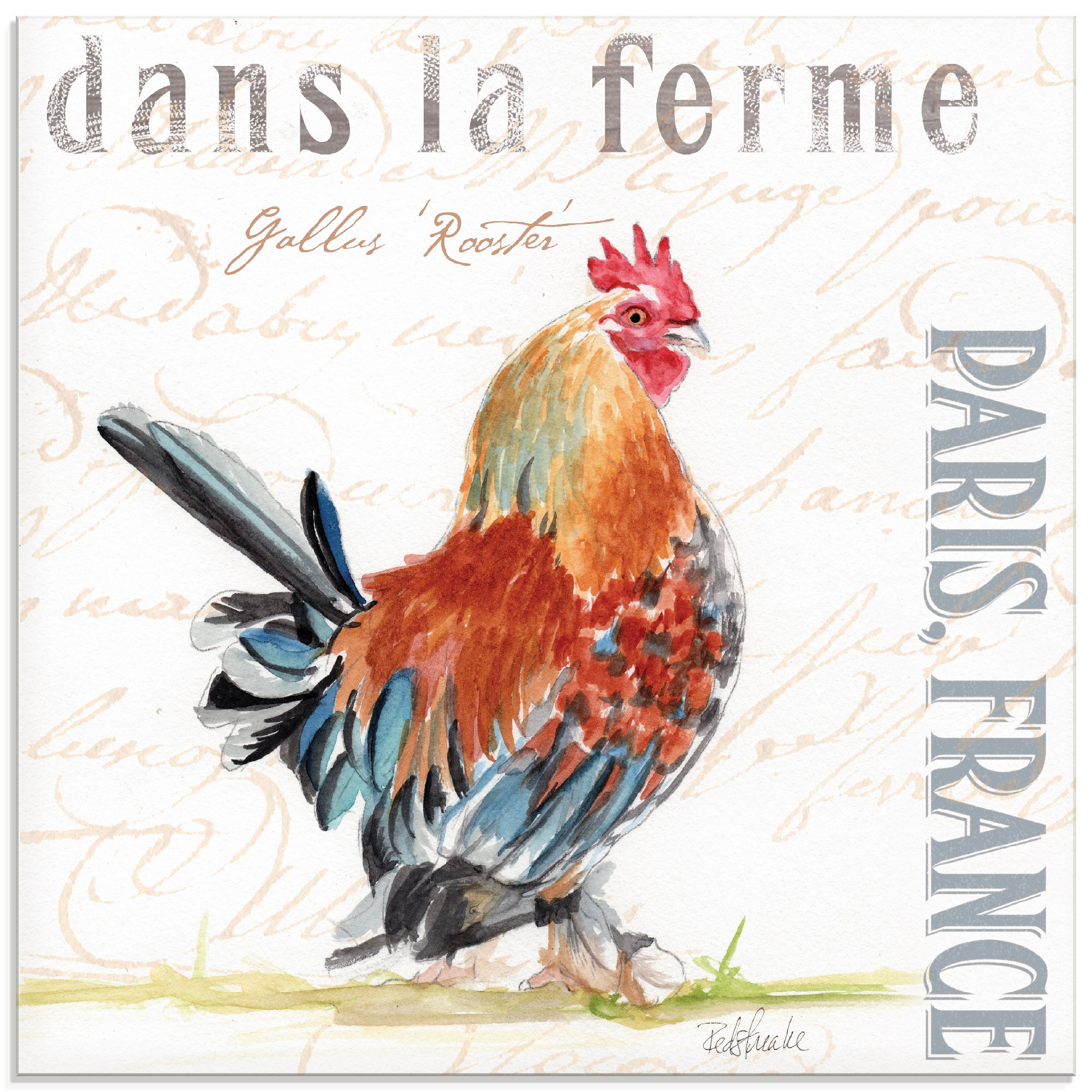 Image of Artland Glasbild »Die Farm II«, Haustiere, (1 St.) bei Ackermann Versand Schweiz