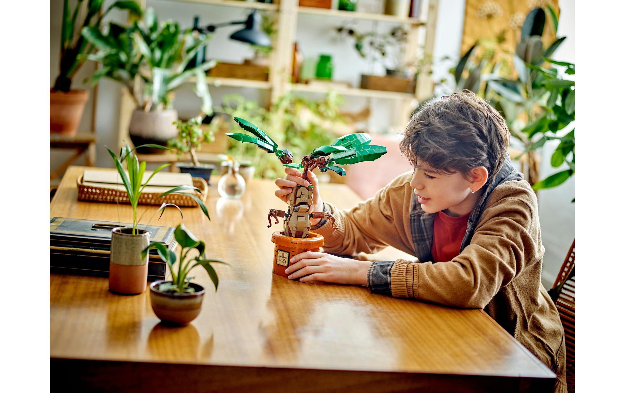 LEGO® Spielbausteine »Harry Potter Zaubertrankpflanze: Alraune 76433«