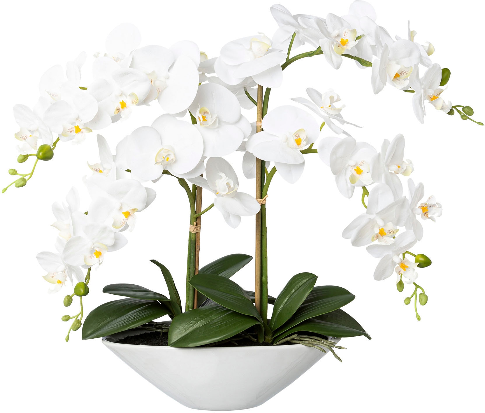 Kunstorchidee »Deko-Orchidee Phalaenopsis in Keramikschale«