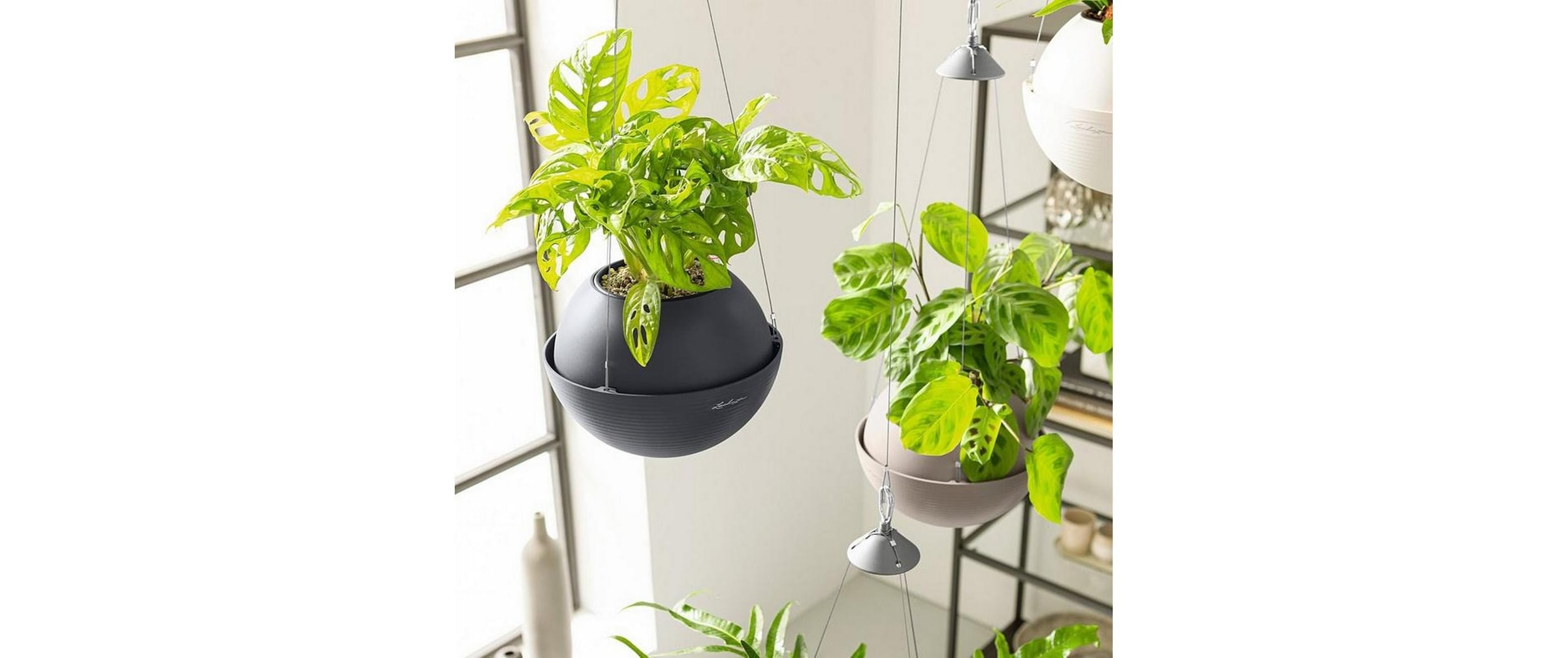   Pot de fleurs »Lechuza BOLA Color 32«